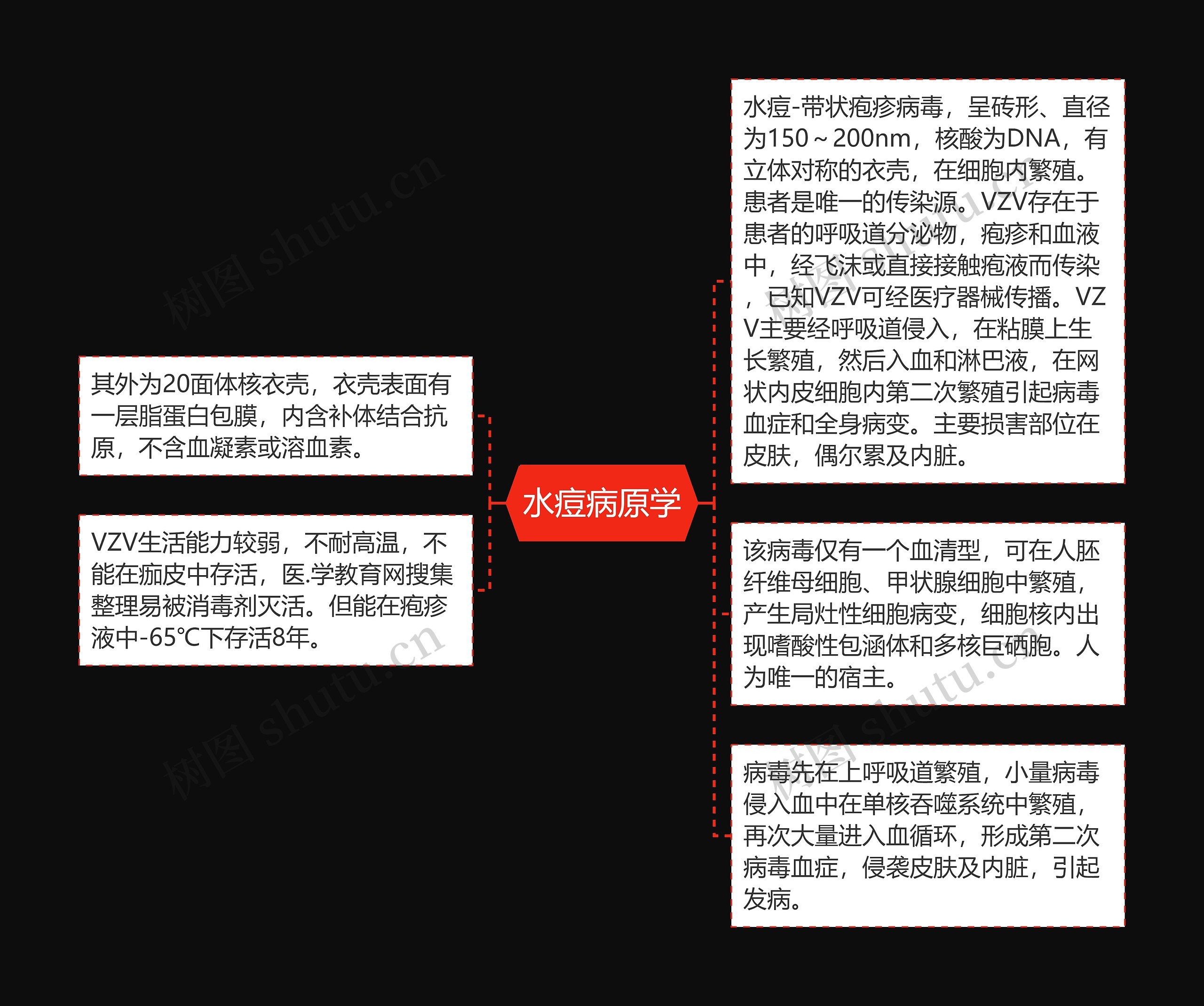 水痘病原学思维导图