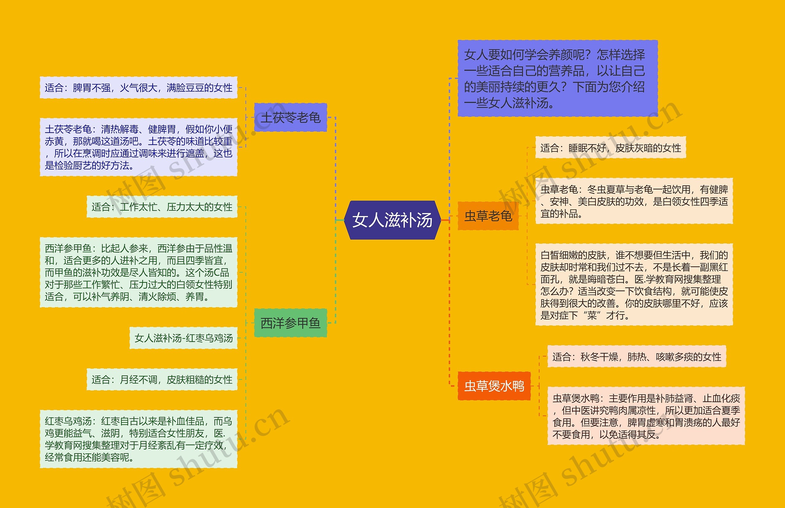 女人滋补汤思维导图