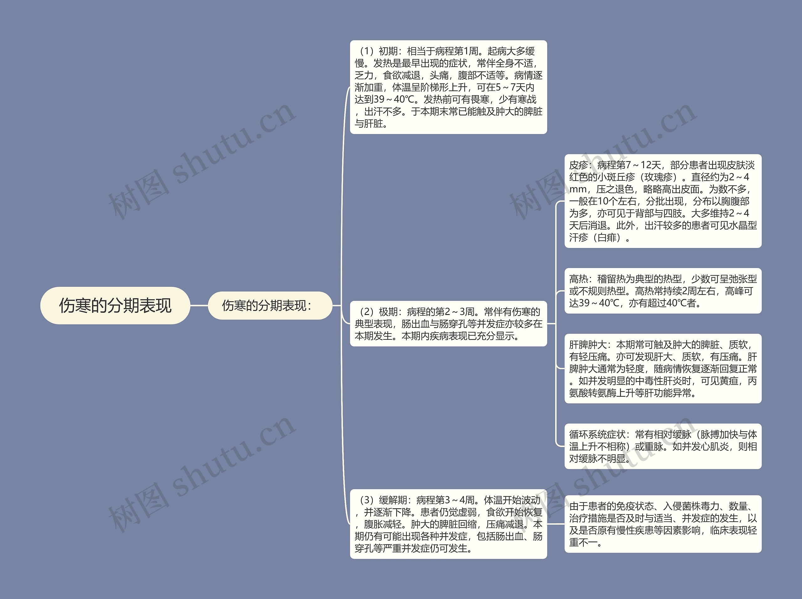 伤寒的分期表现思维导图