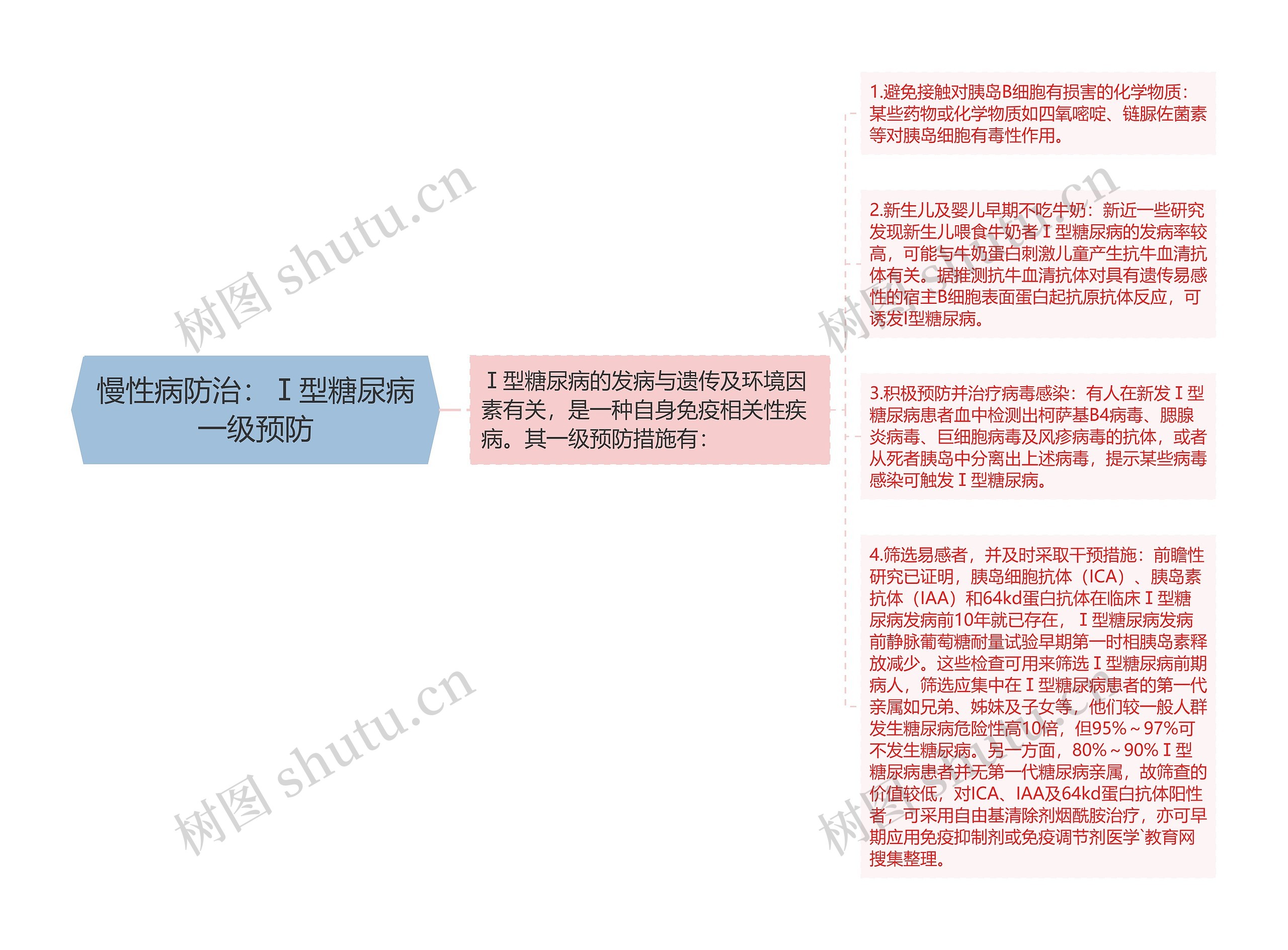 慢性病防治：Ⅰ型糖尿病一级预防思维导图