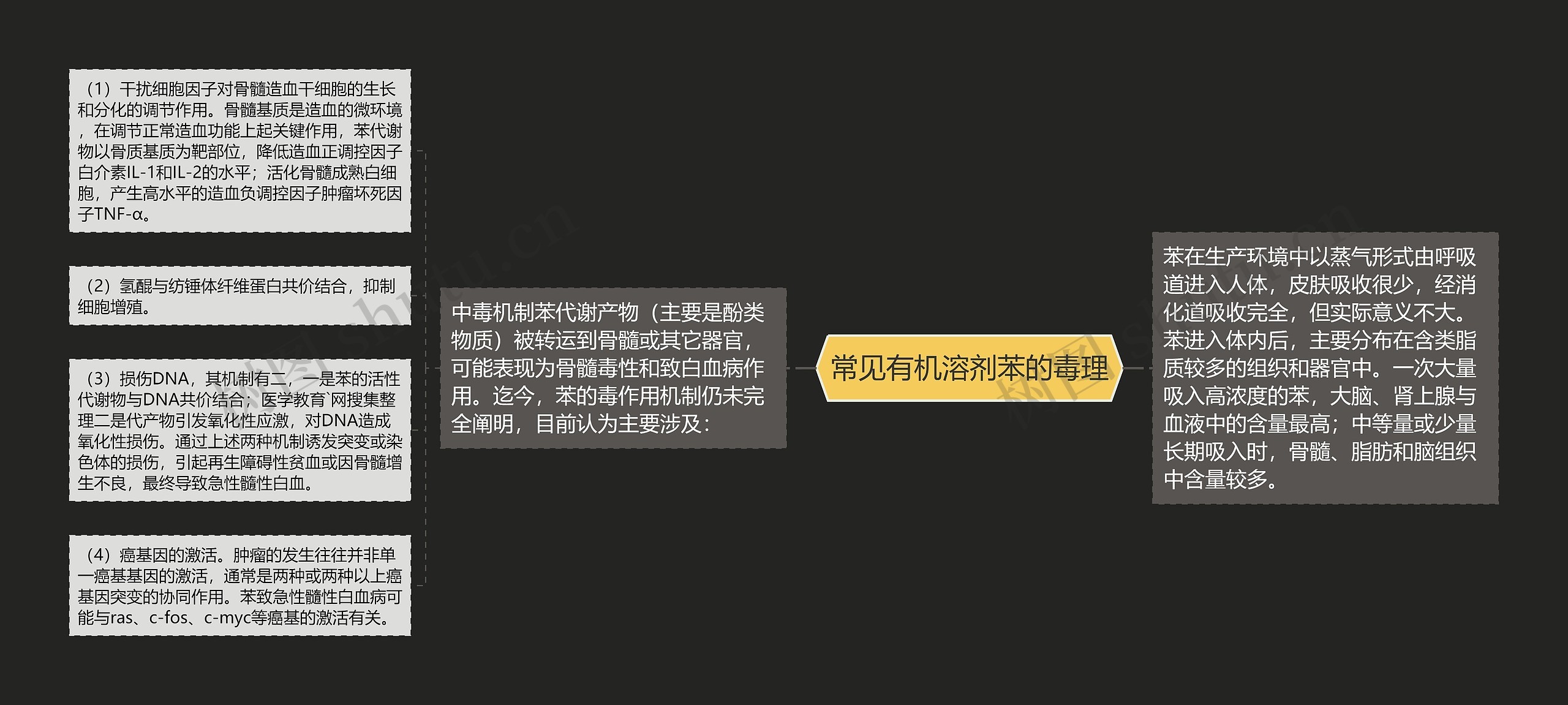 常见有机溶剂苯的毒理思维导图