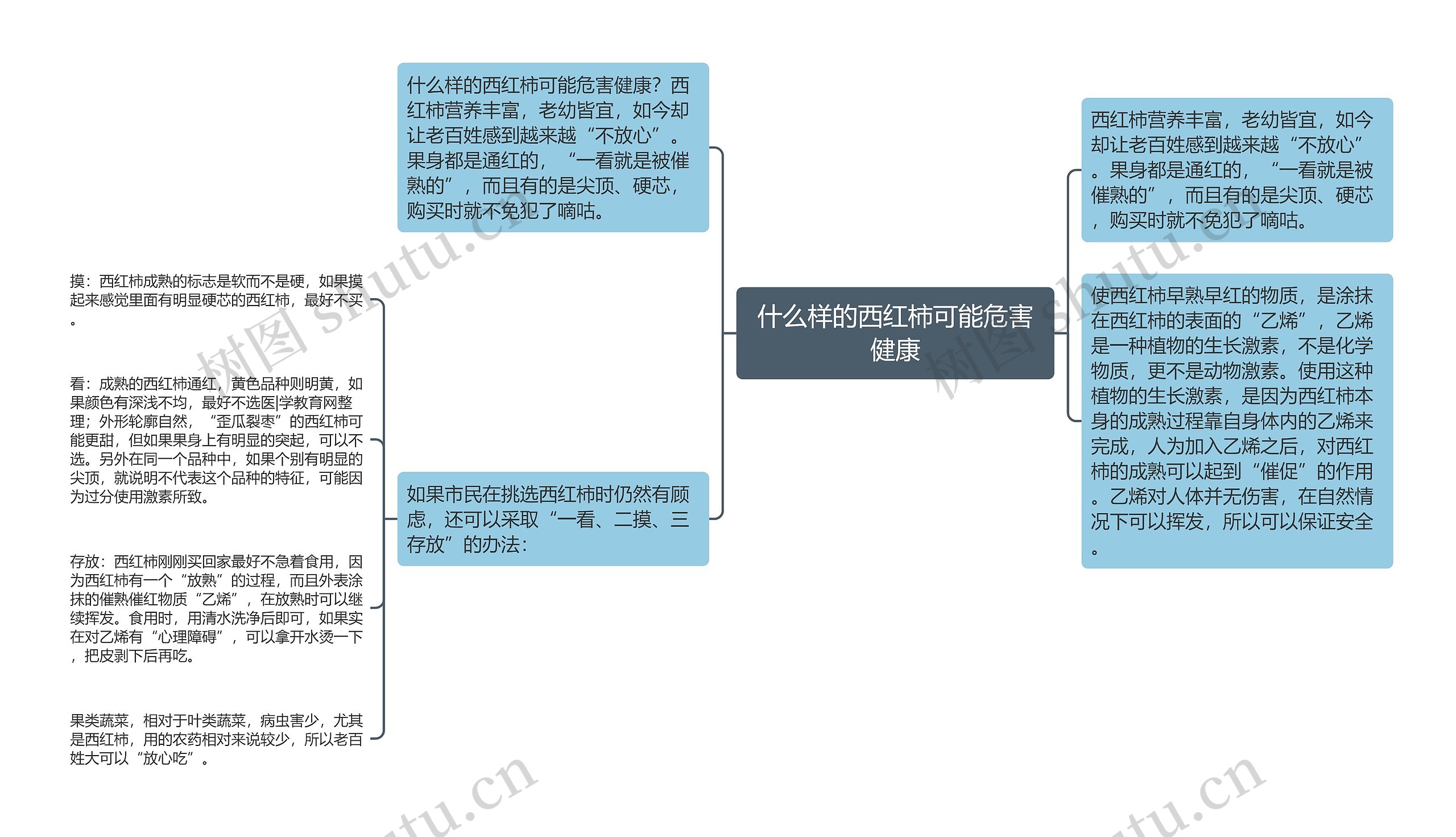 什么样的西红柿可能危害健康思维导图