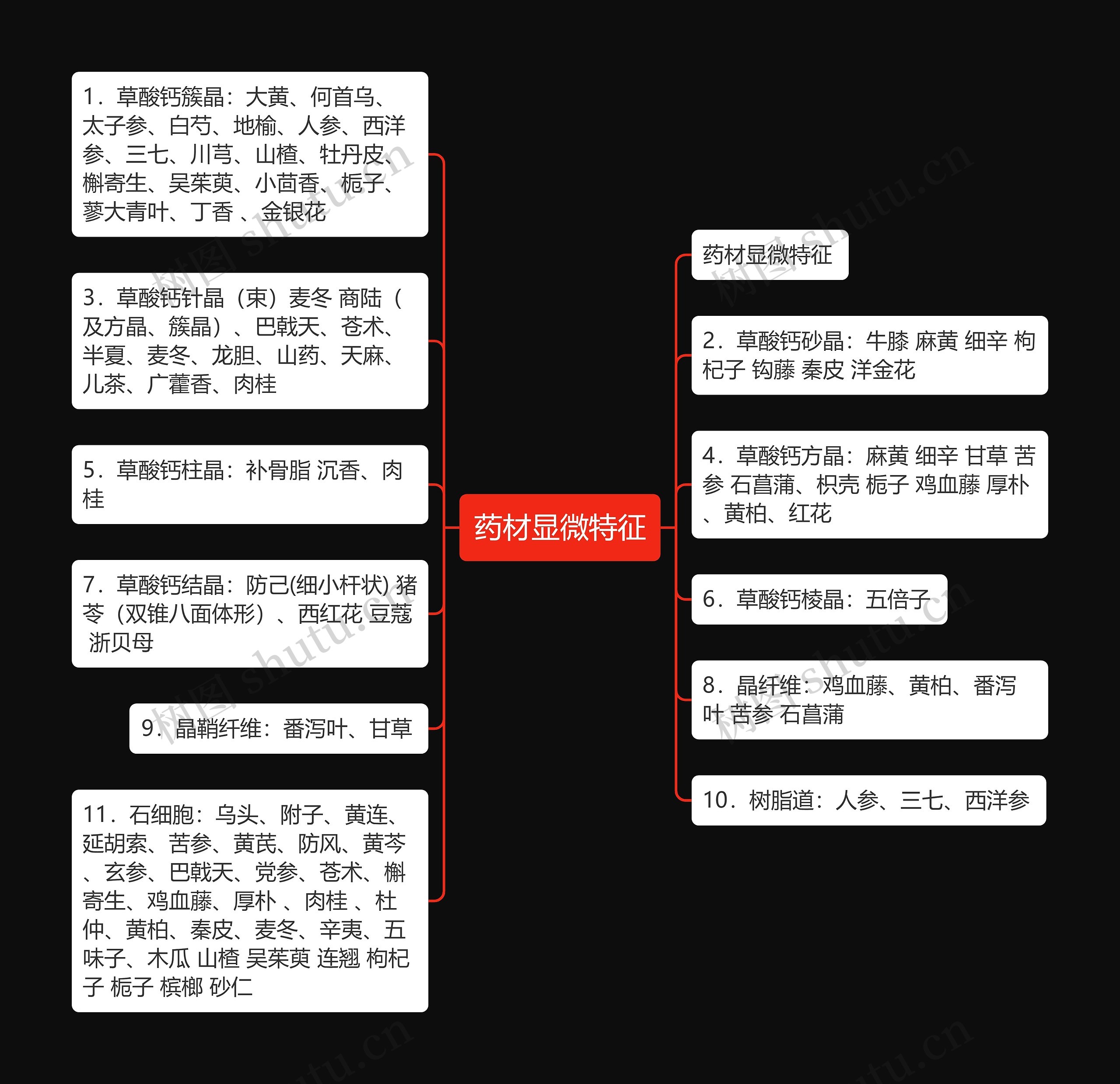 药材显微特征 药材显微特征