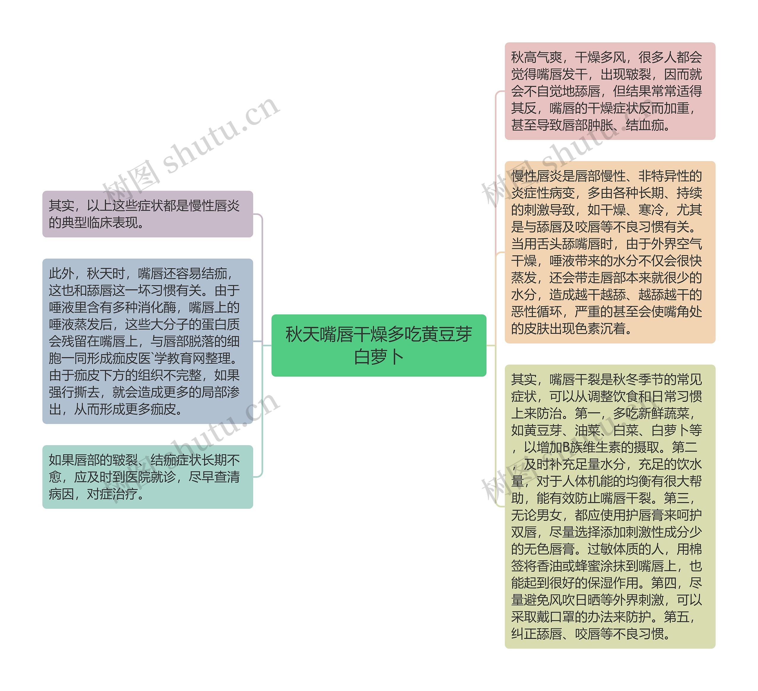 秋天嘴唇干燥多吃黄豆芽白萝卜思维导图