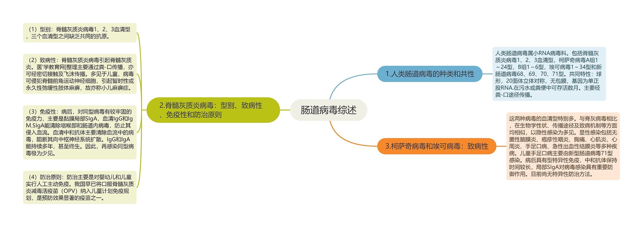 肠道病毒综述 肠道病毒综述