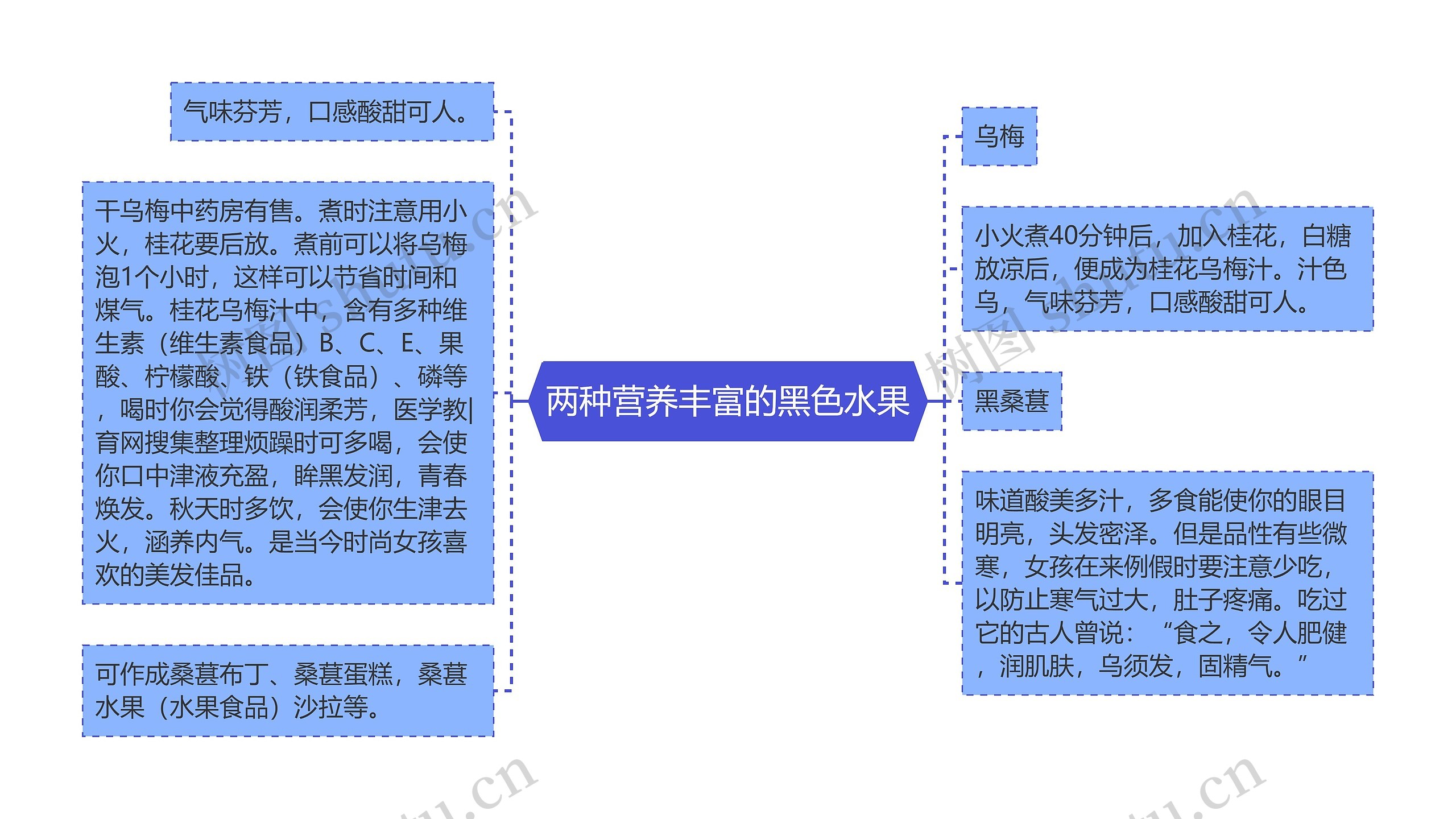 两种营养丰富的黑色水果思维导图