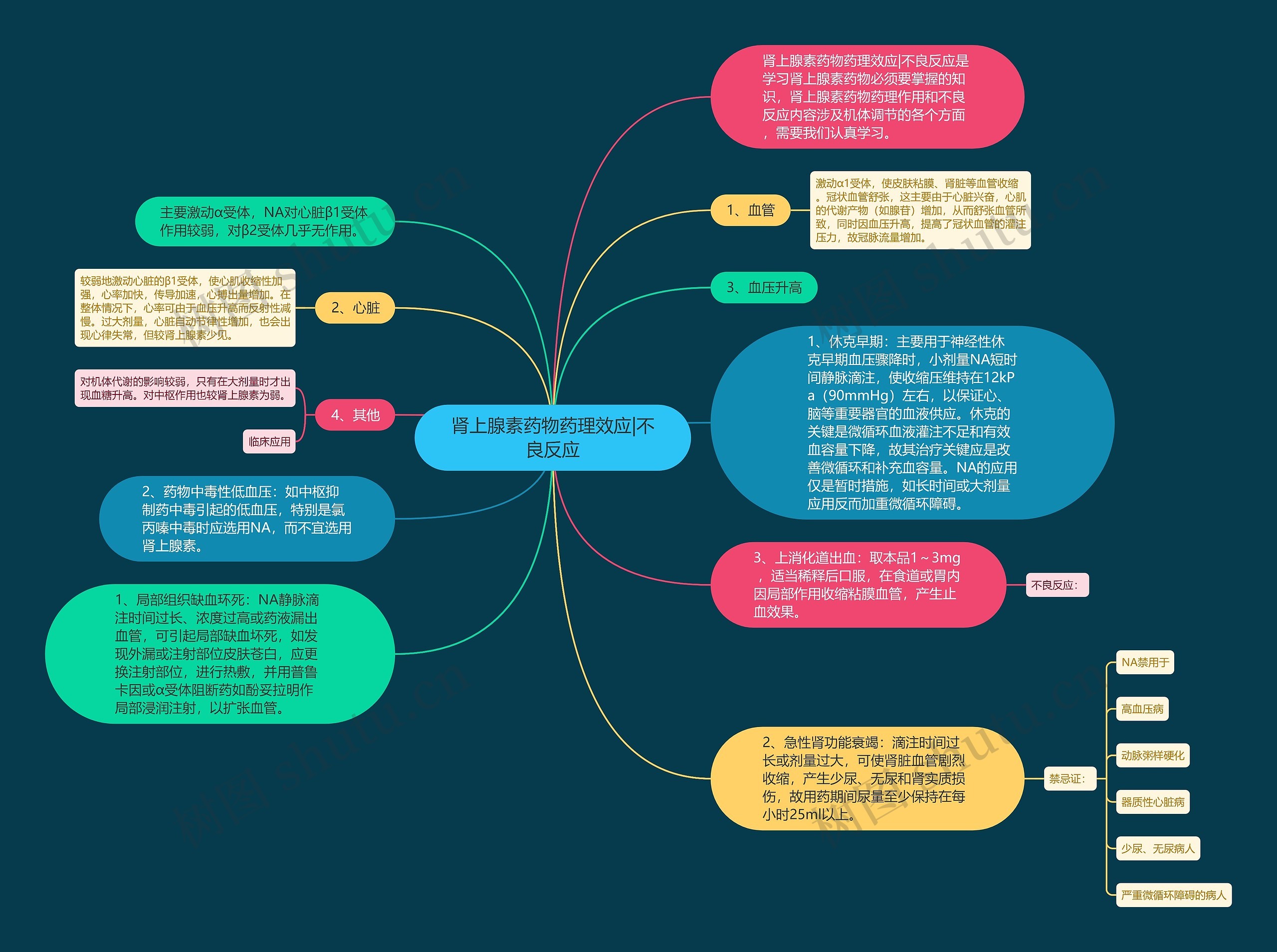 肾上腺素药物药理效应|不良反应思维导图