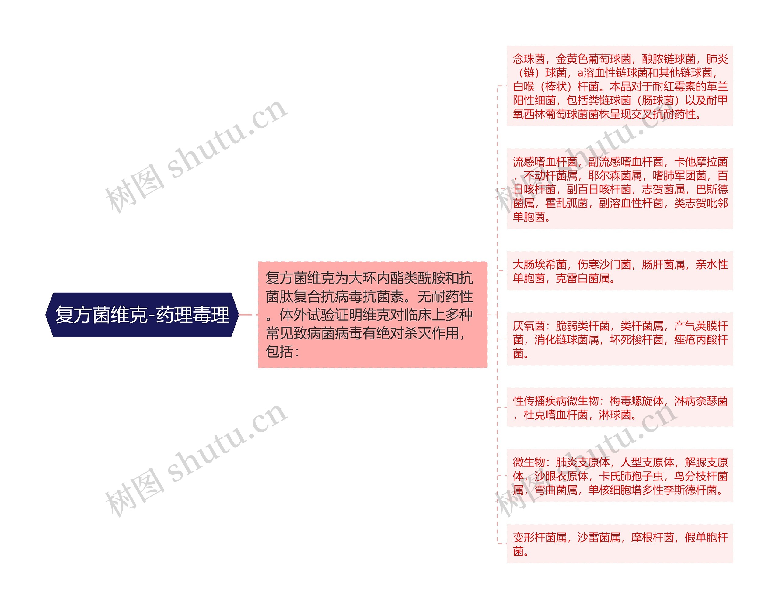 复方菌维克-药理毒理