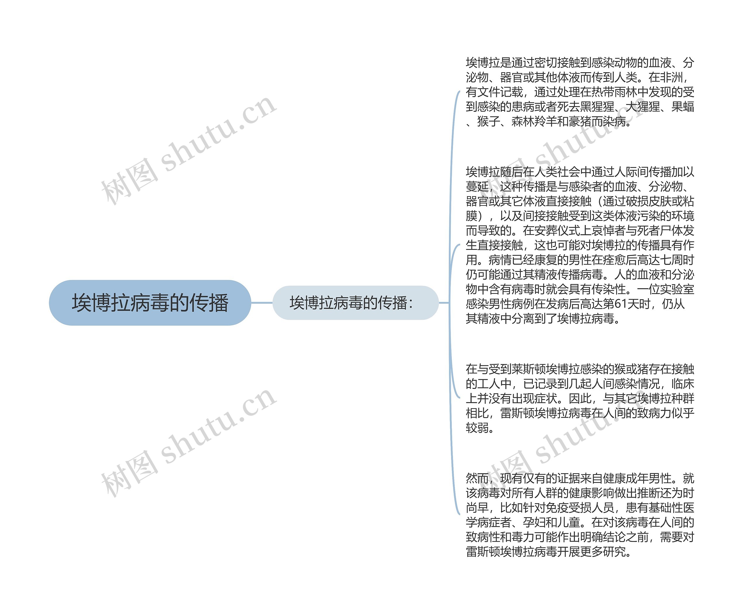 埃博拉病毒的传播思维导图