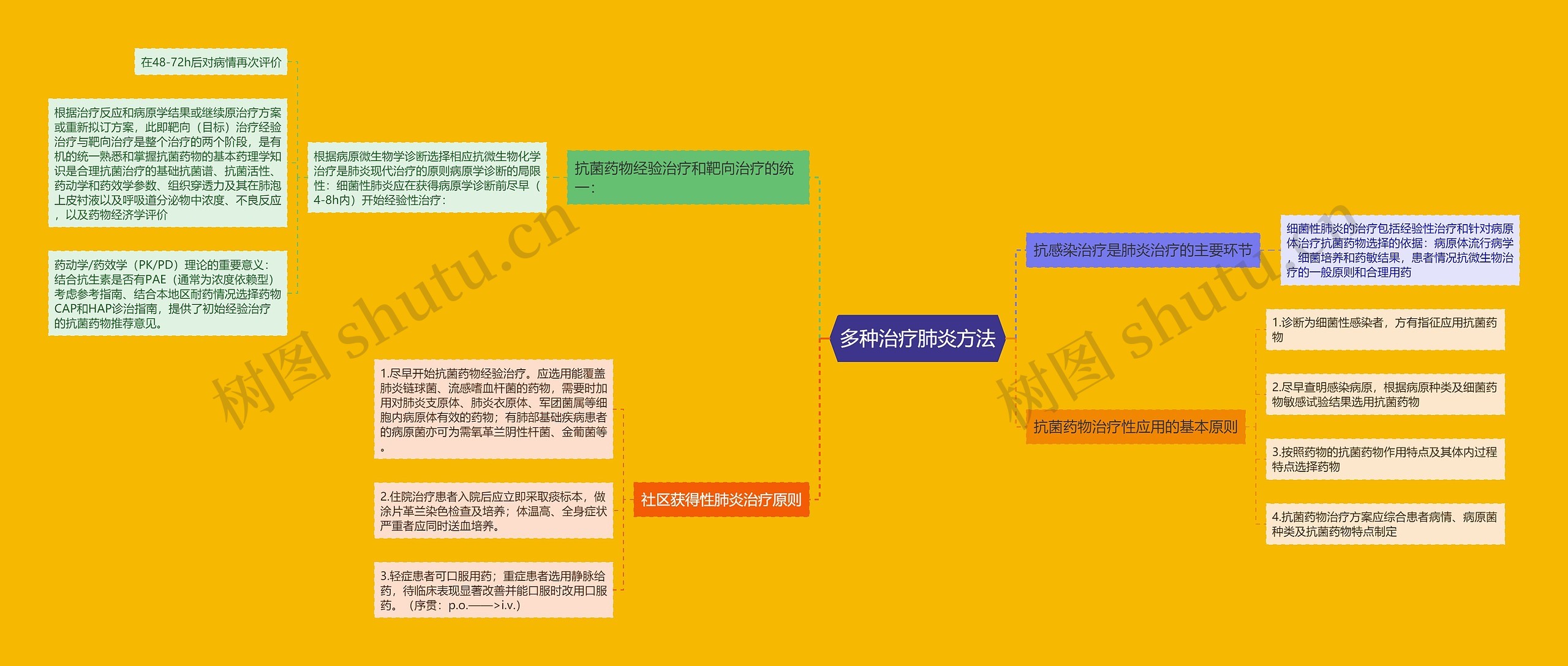 多种治疗肺炎方法