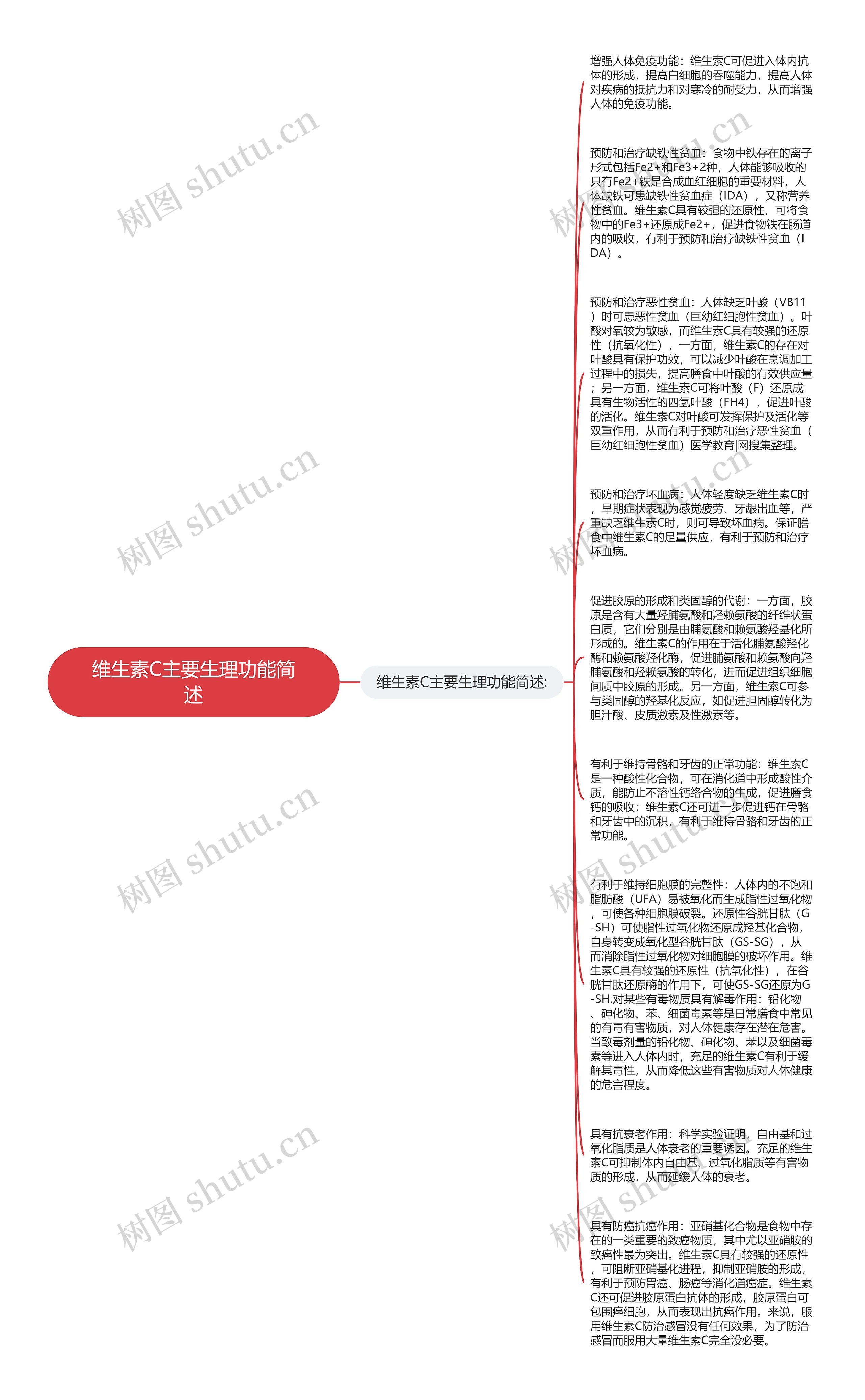 维生素C主要生理功能简述