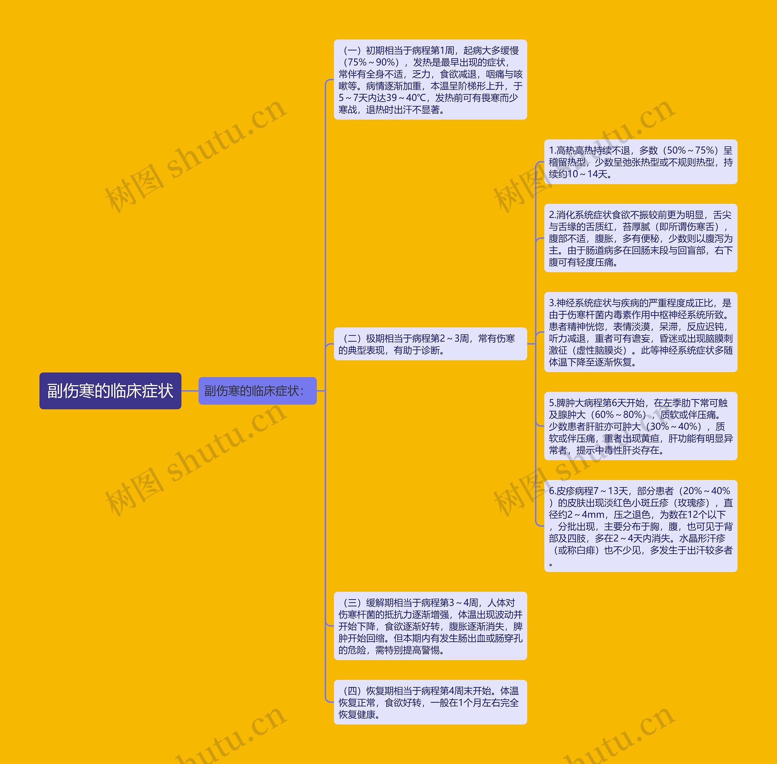 副伤寒的临床症状思维导图