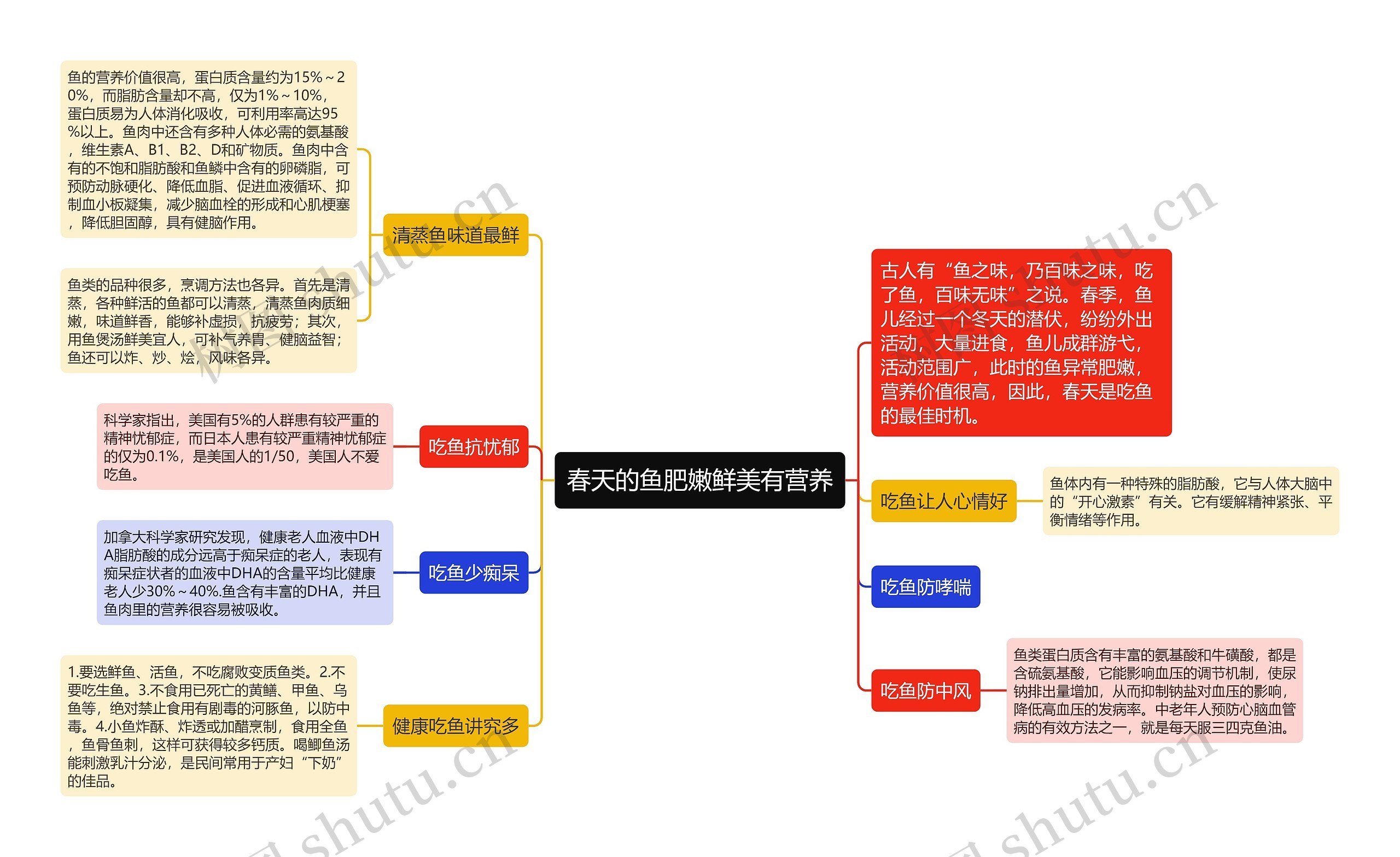春天的鱼肥嫩鲜美有营养思维导图高清图 春天的鱼肥嫩鲜美有营养思维导图
