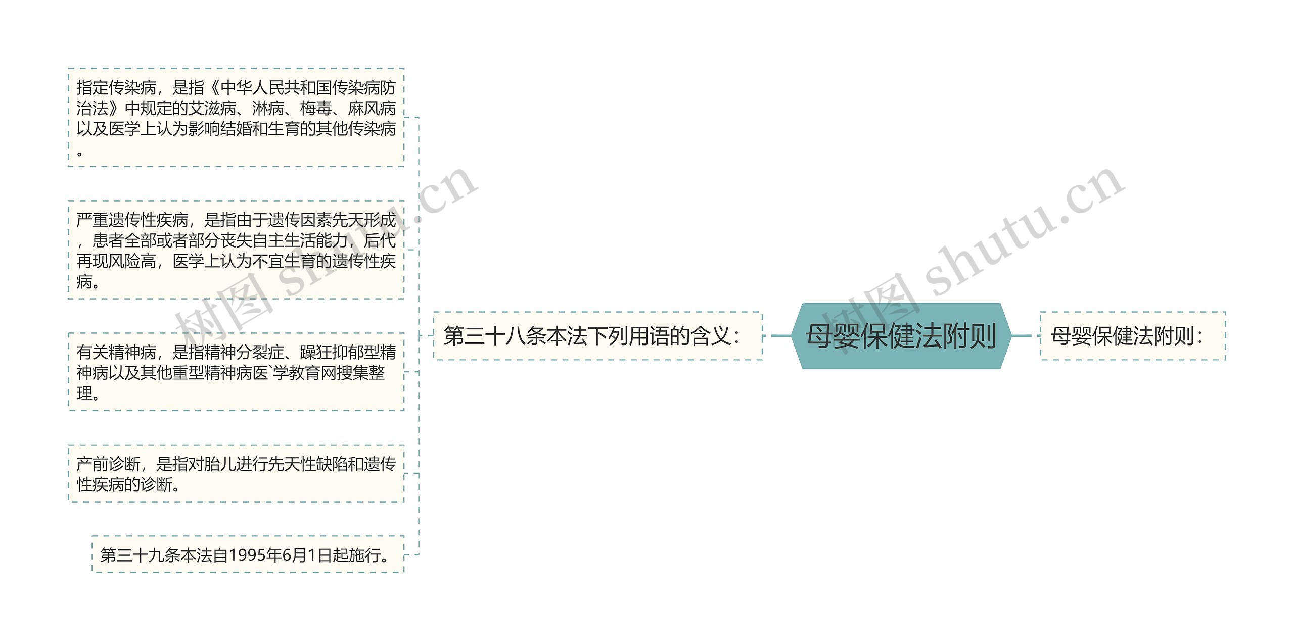 母婴保健法附则思维导图