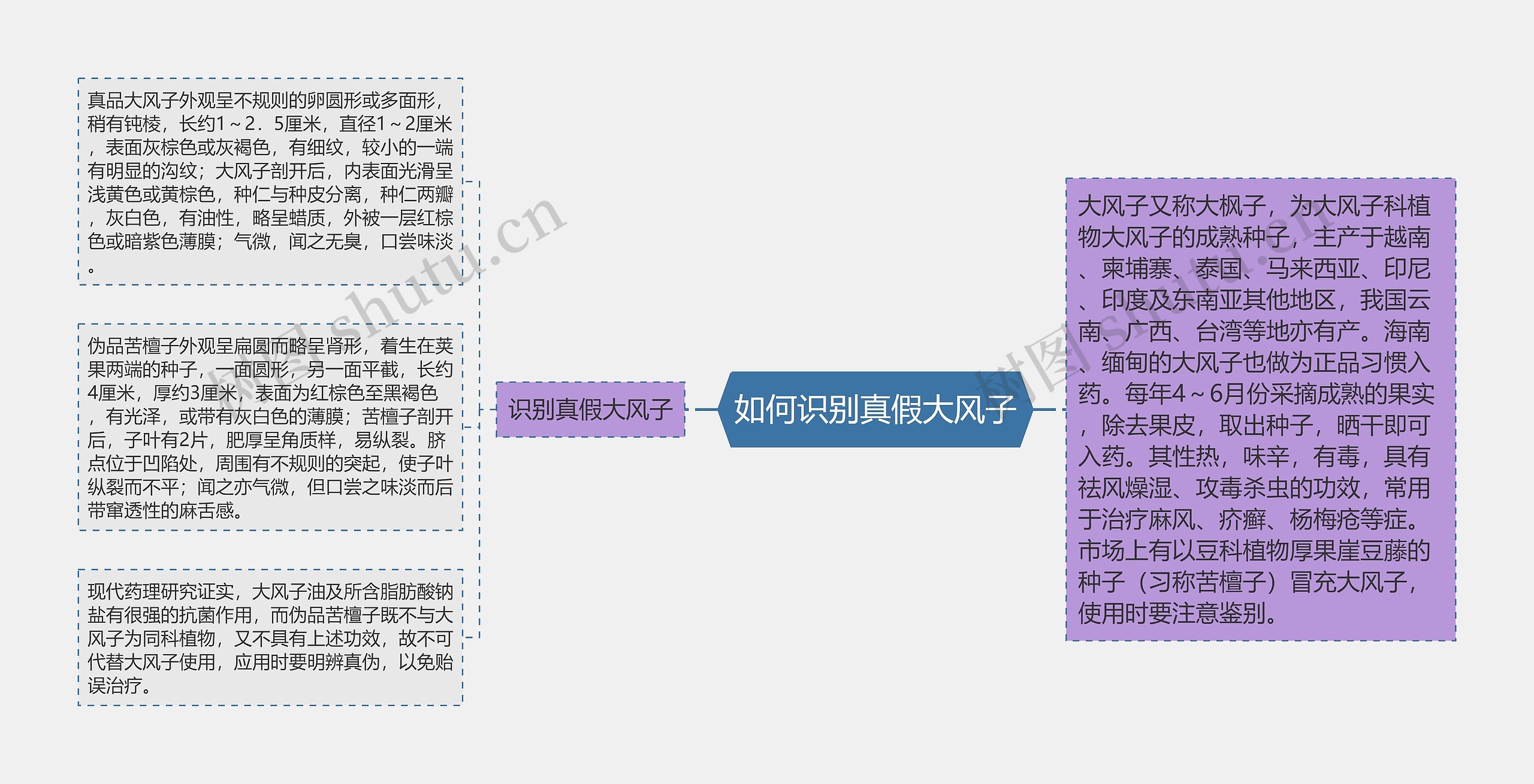 如何识别真假大风子思维导图