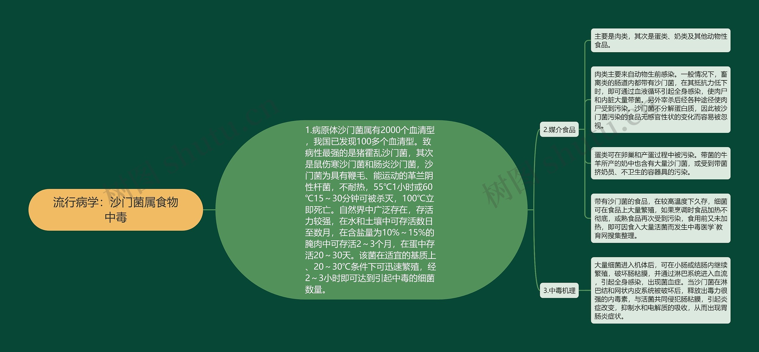 流行病学：沙门菌属食物中毒思维导图