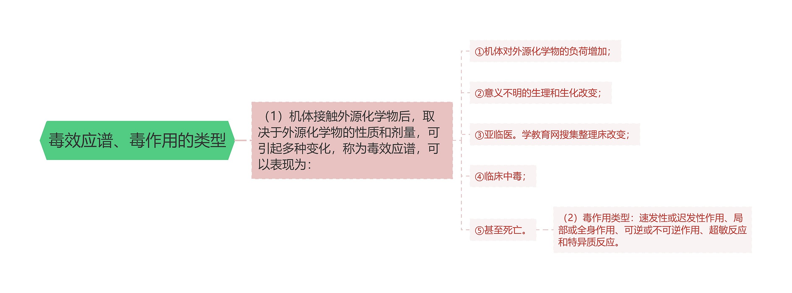 毒效应谱、毒作用的类型思维导图