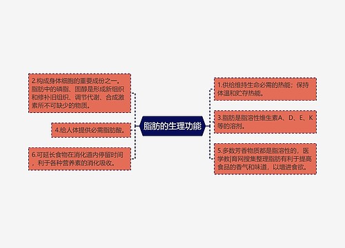 脂肪的生理功能