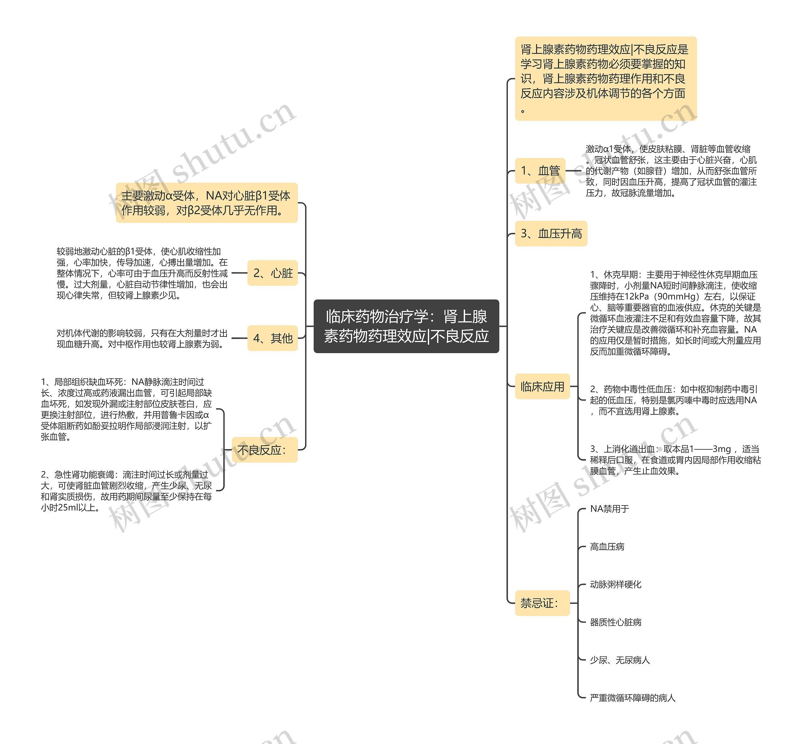 临床药物治疗学：肾上腺素药物药理效应|不良反应思维导图