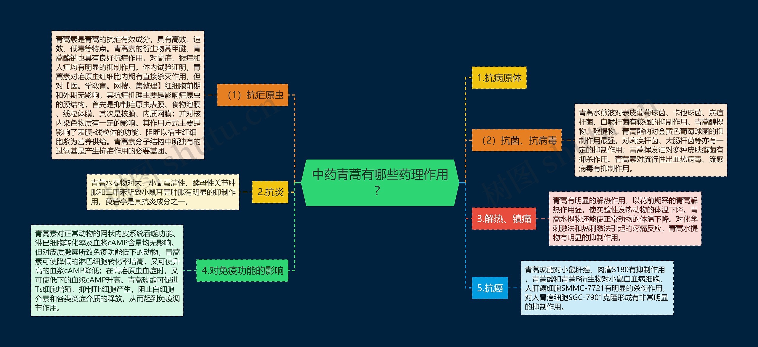 中药青蒿有哪些药理作用？思维导图