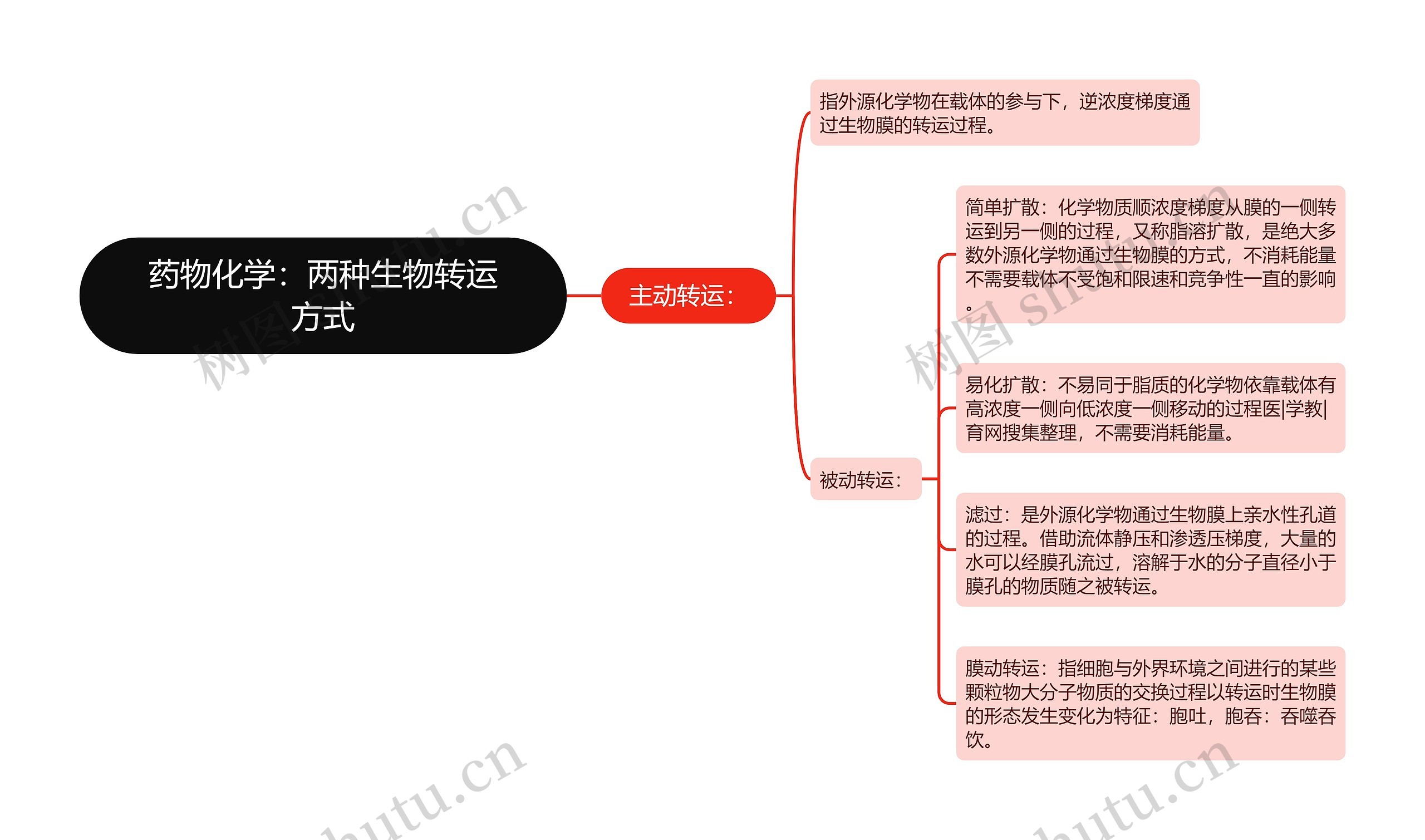 药物化学：两种生物转运方式