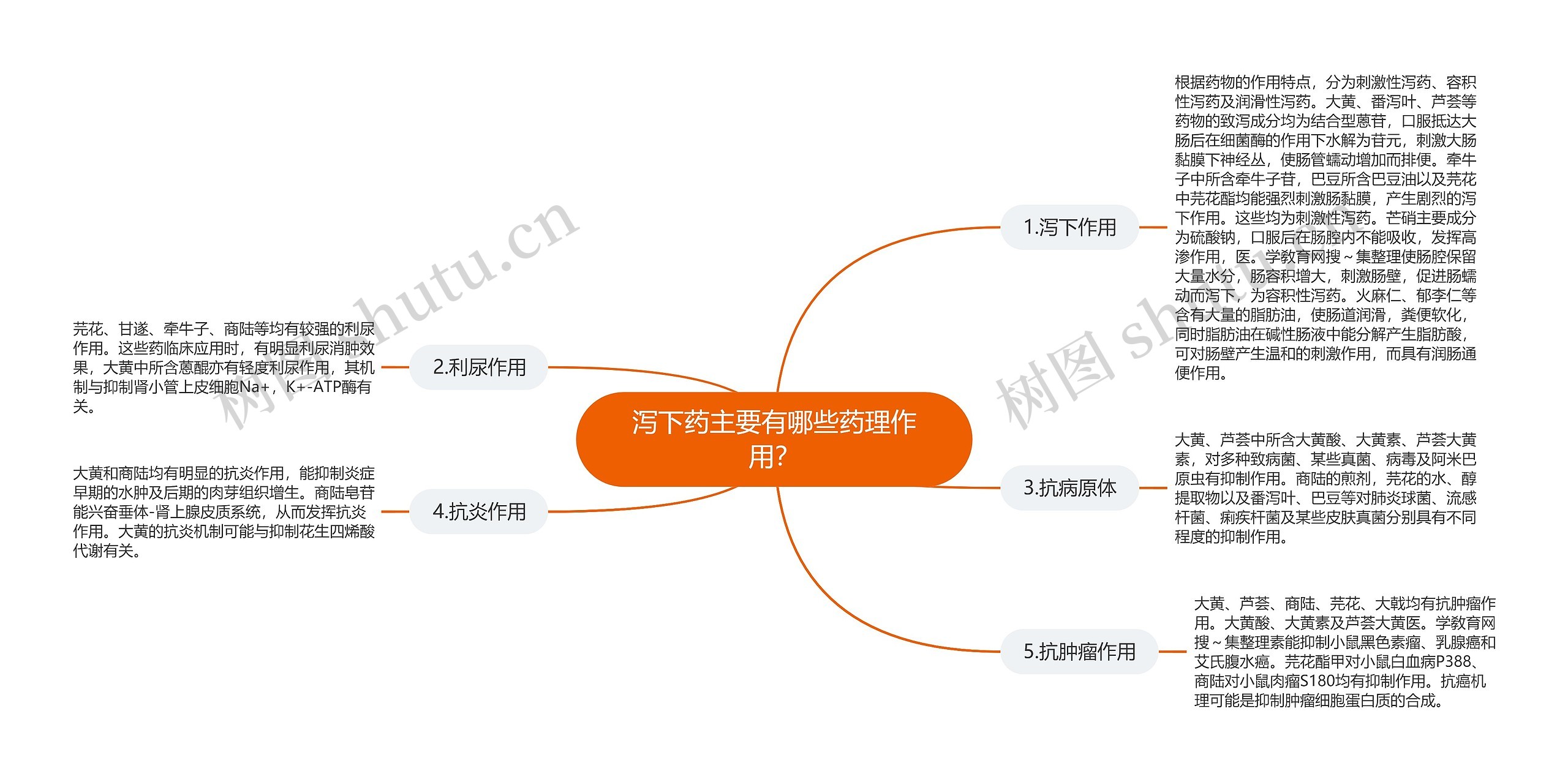 泻下药主要有哪些药理作用？思维导图