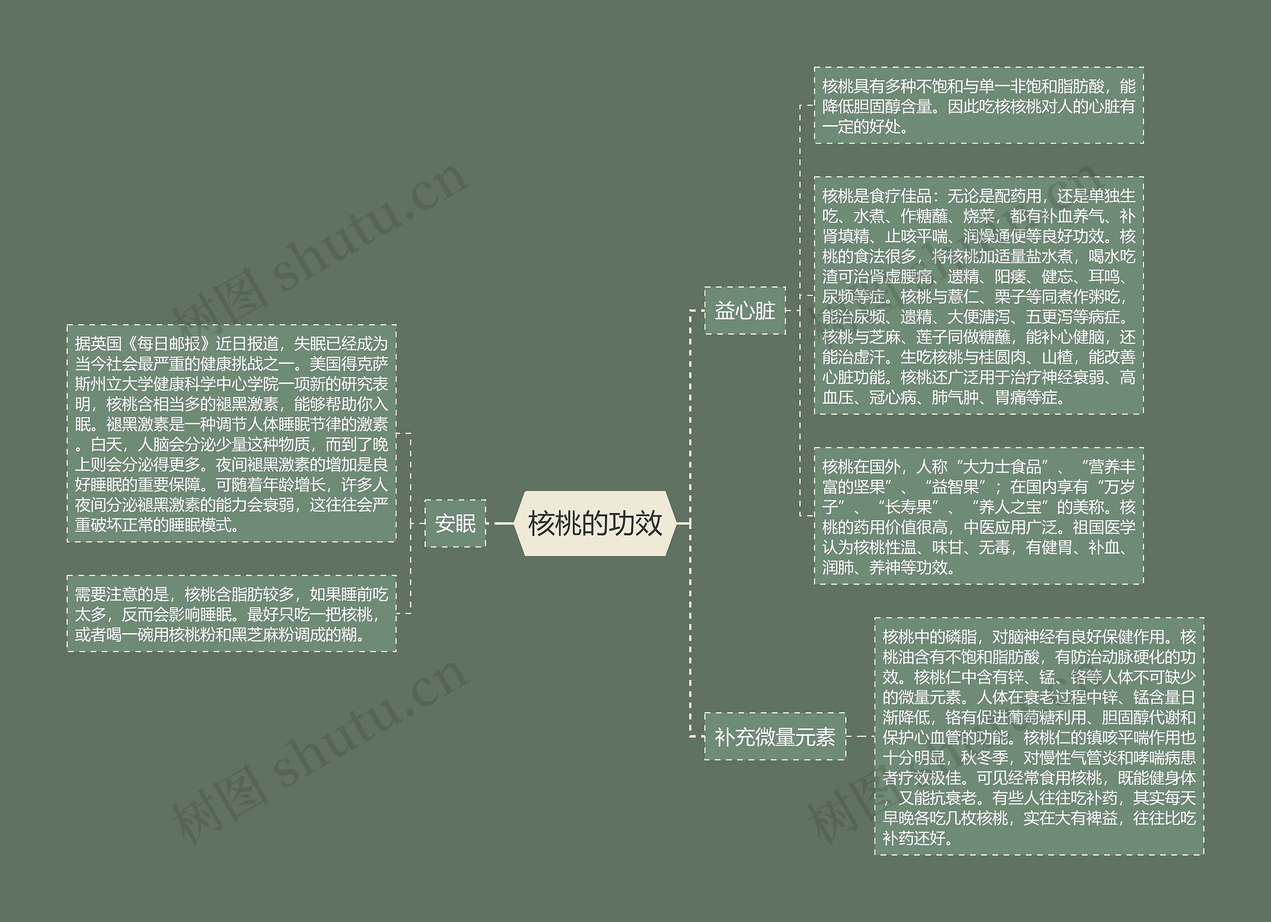 核桃的功效思维导图