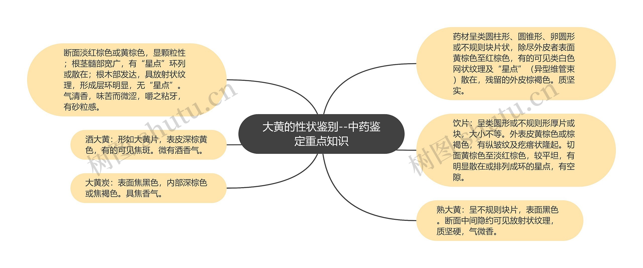 大黄的性状鉴别--中药鉴定重点知识思维导图