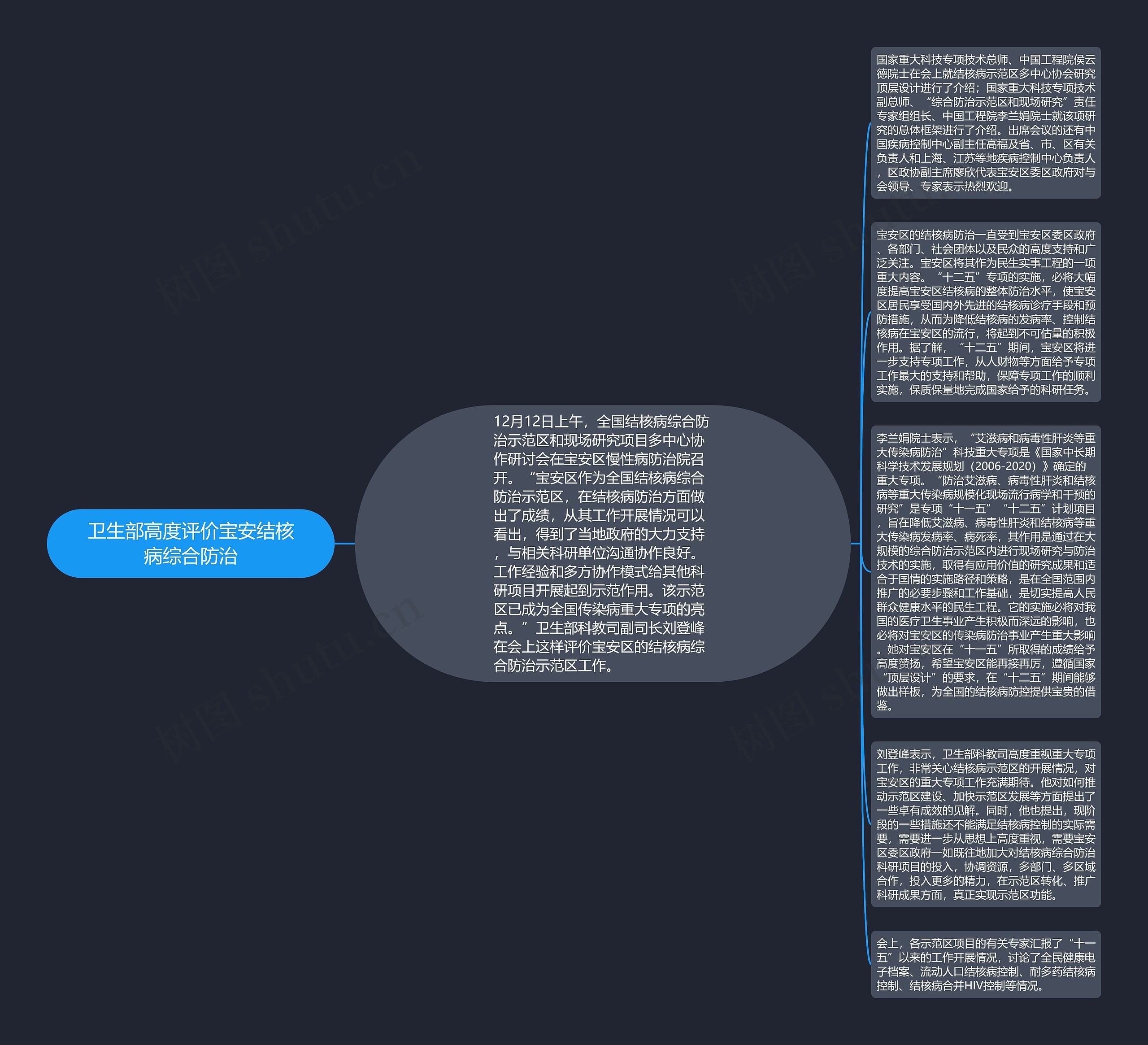 卫生部高度评价宝安结核病综合防治思维导图