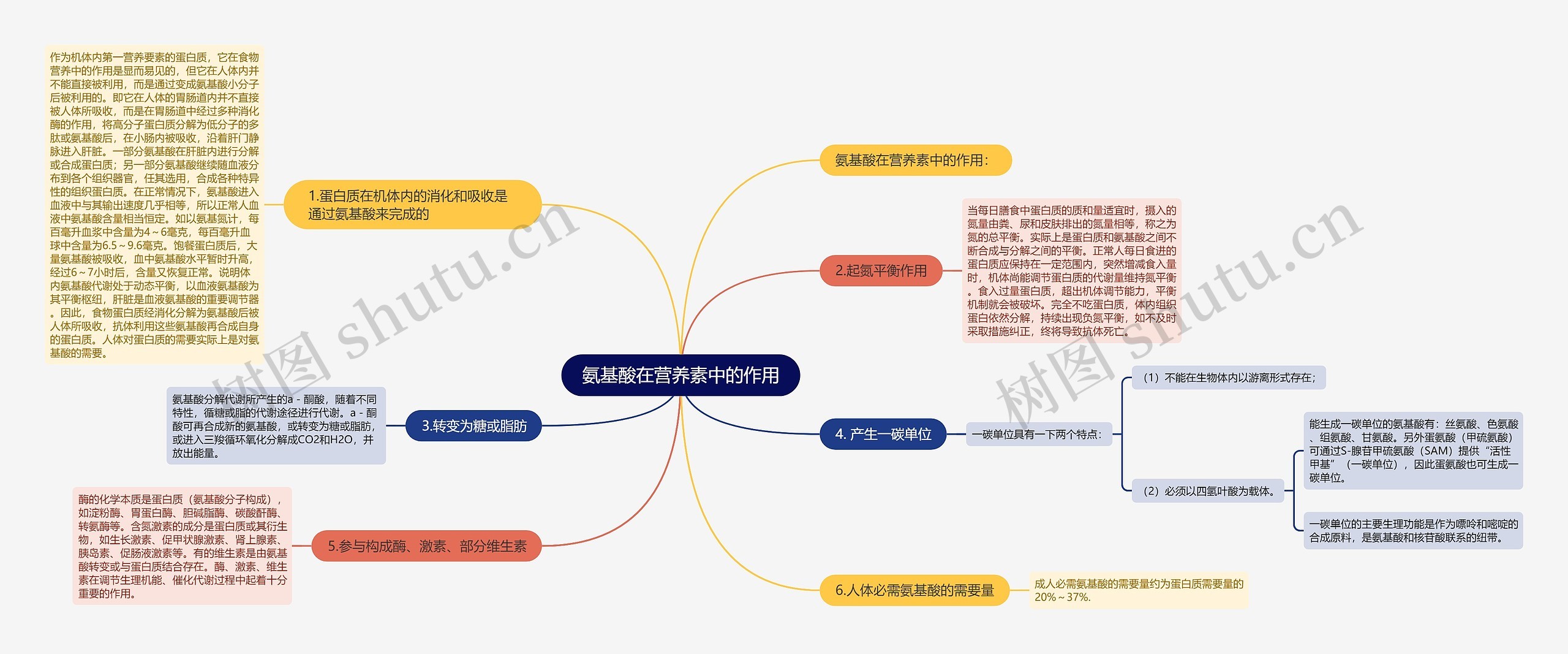 氨基酸在营养素中的作用