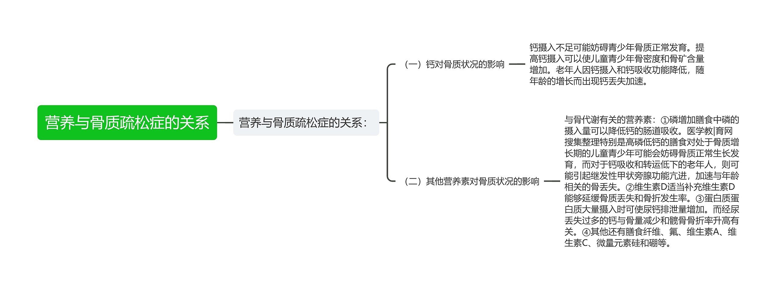 营养与骨质疏松症的关系