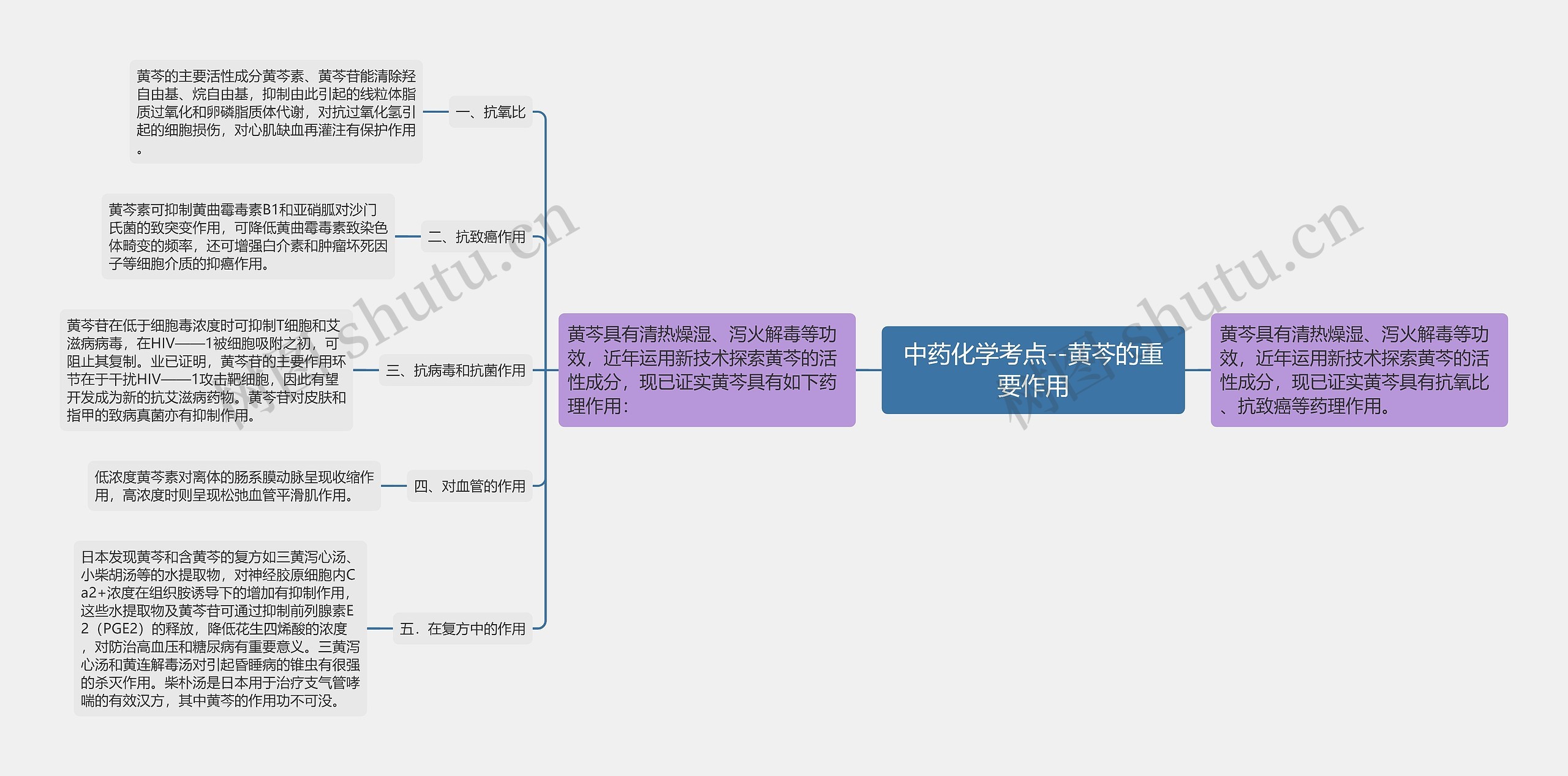 中药化学考点--黄芩的重要作用思维导图