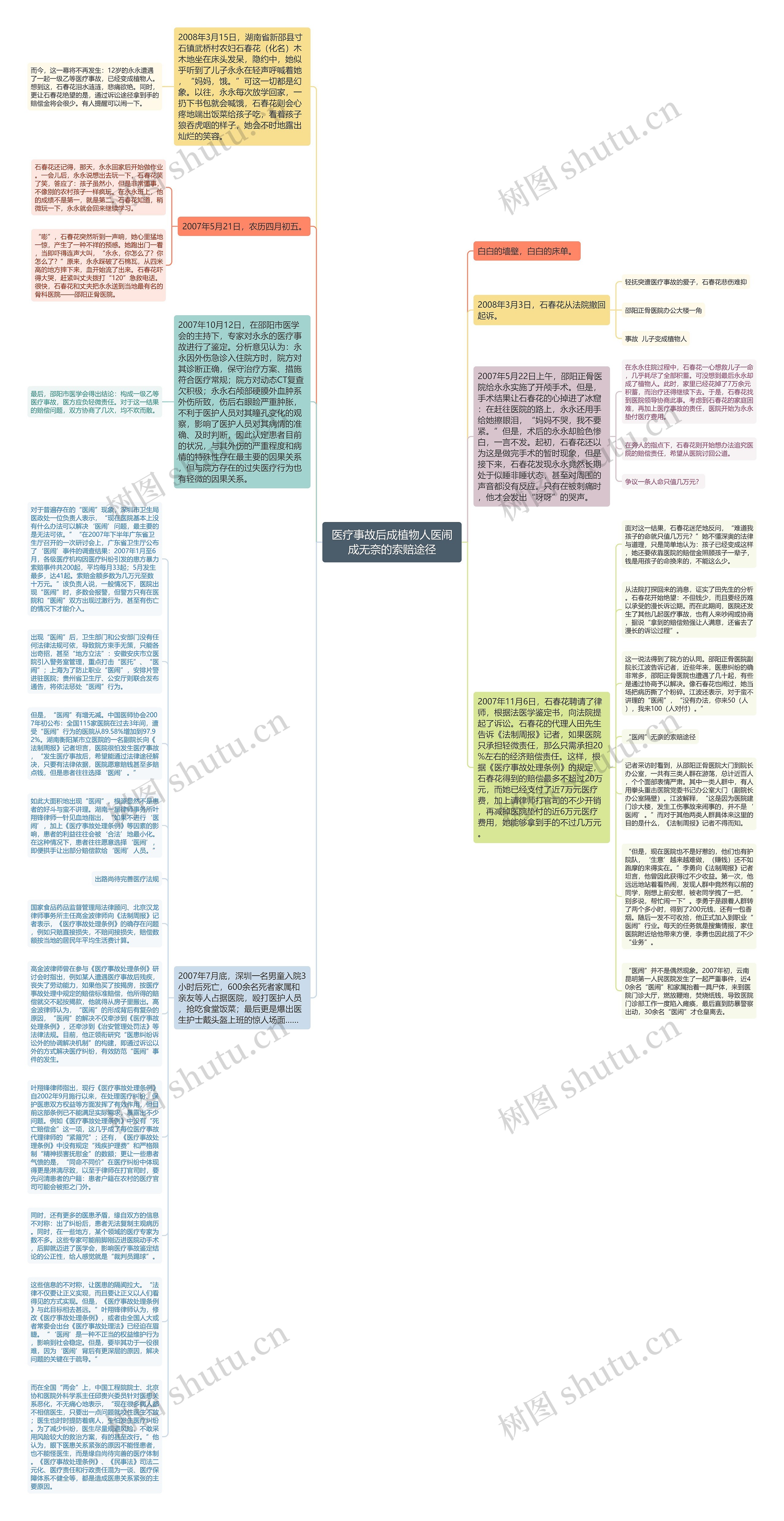 医疗事故后成植物人医闹成无奈的索赔途径思维导图