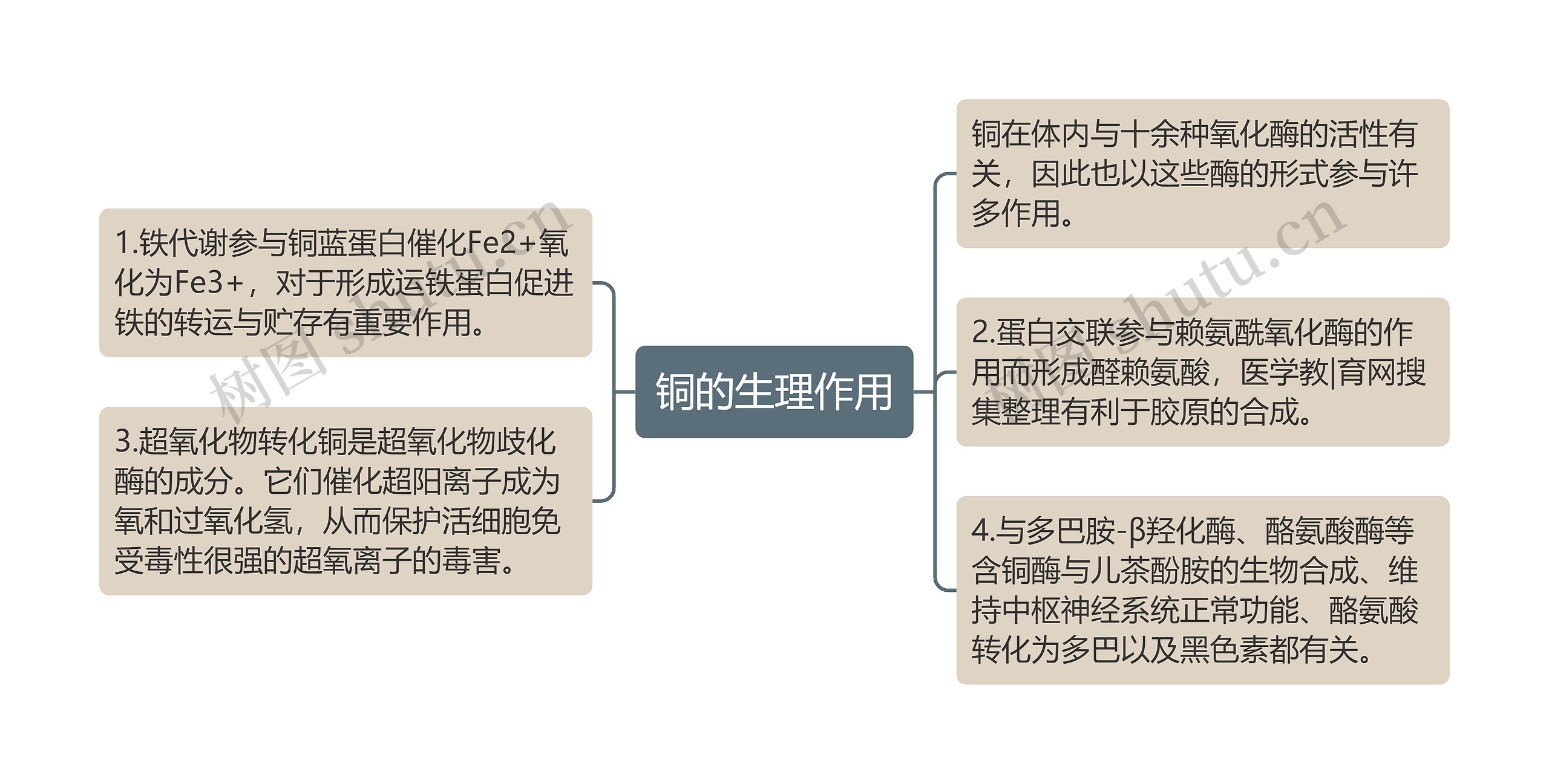 铜的生理作用思维导图