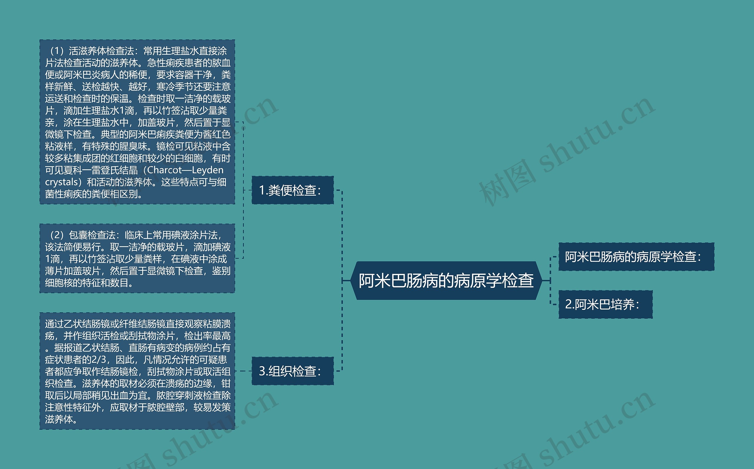 阿米巴肠病的病原学检查思维导图