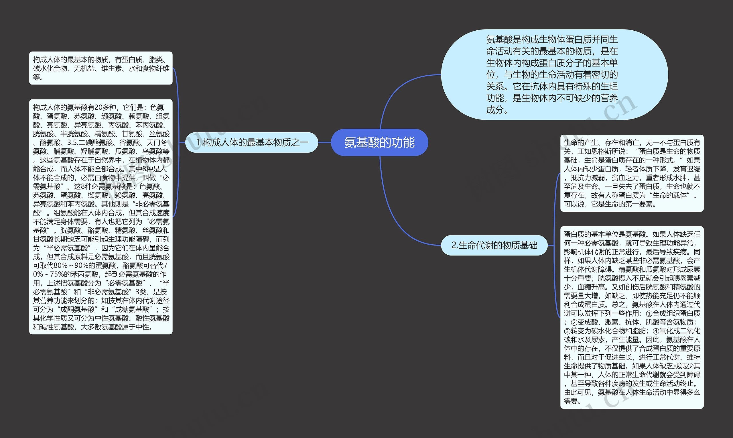 氨基酸的功能思维导图
