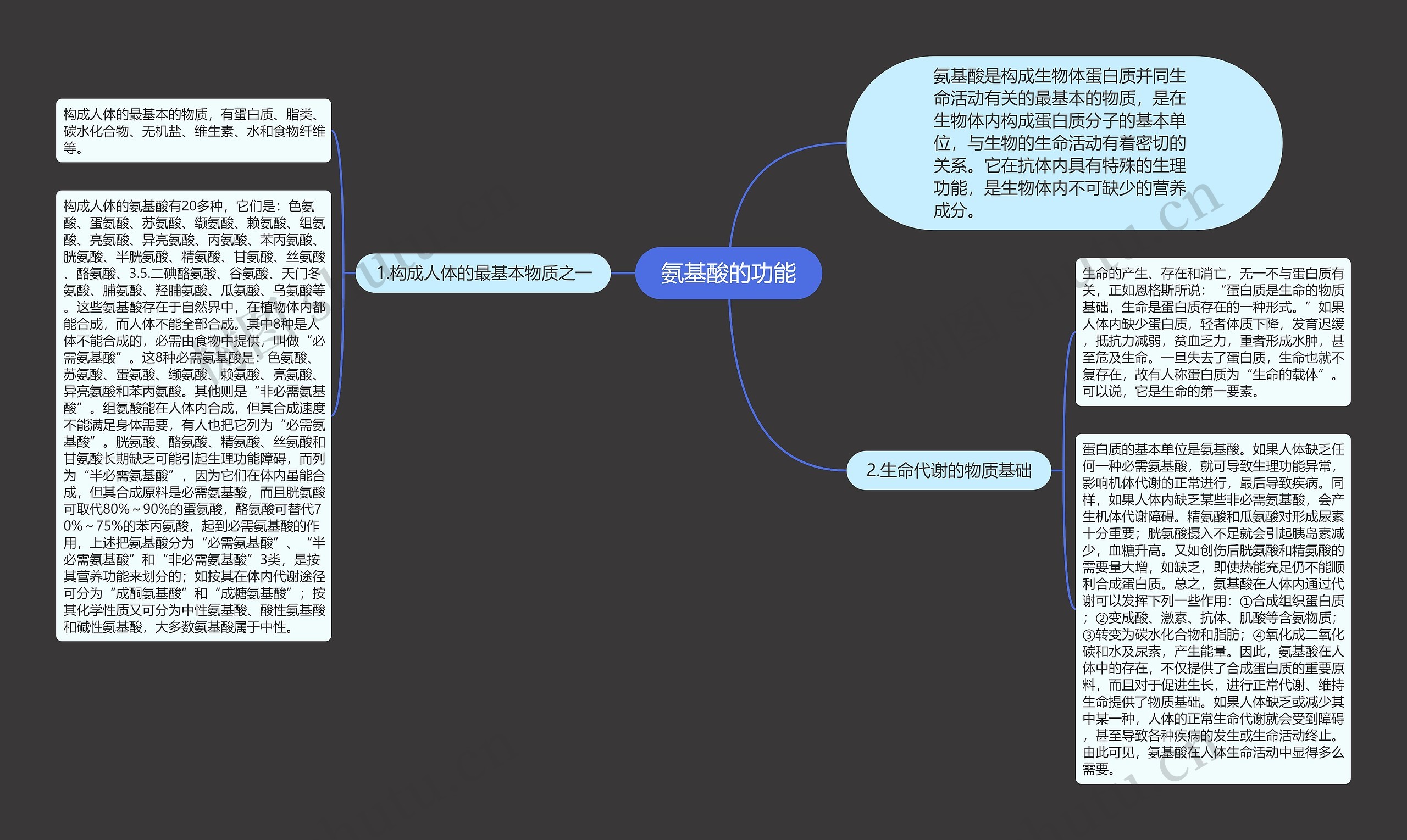 氨基酸的功能 氨基酸的功能
