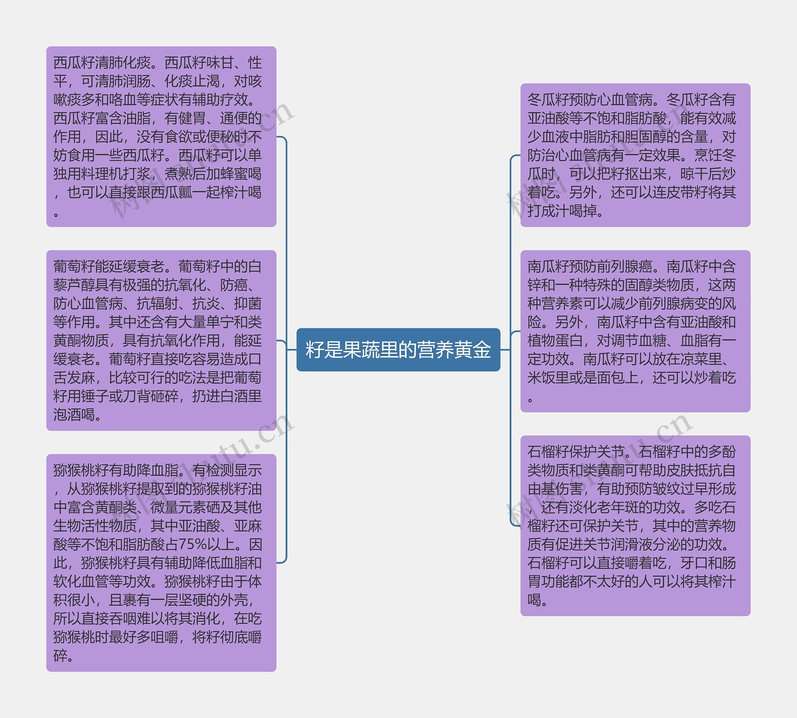 籽是果蔬里的营养黄金思维导图