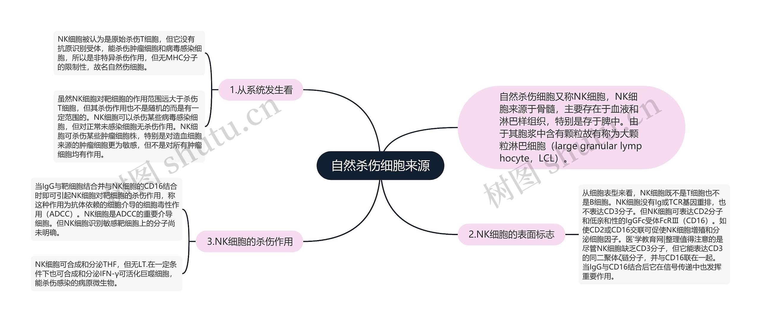 自然杀伤细胞来源思维导图