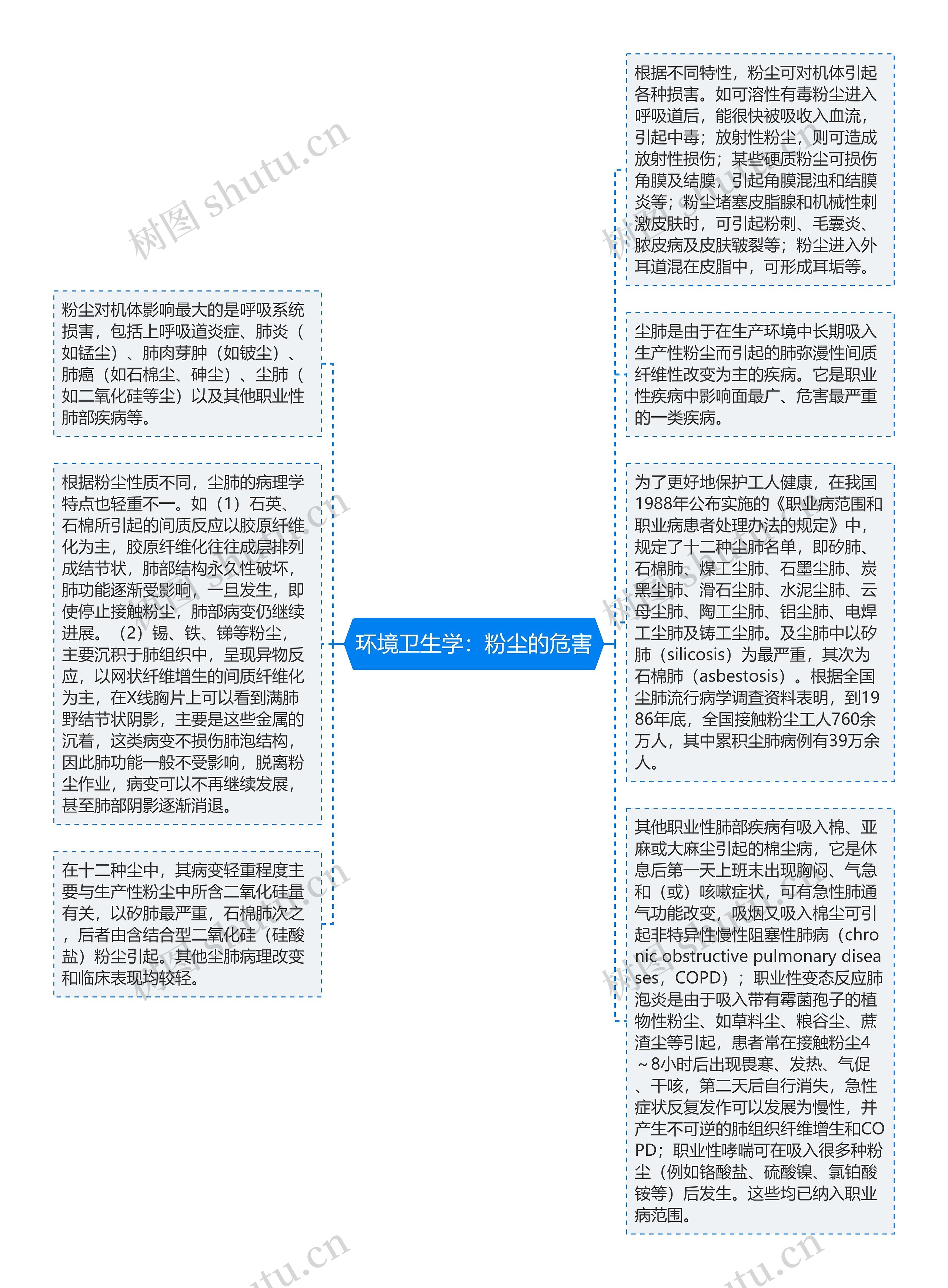 环境卫生学：粉尘的危害思维导图