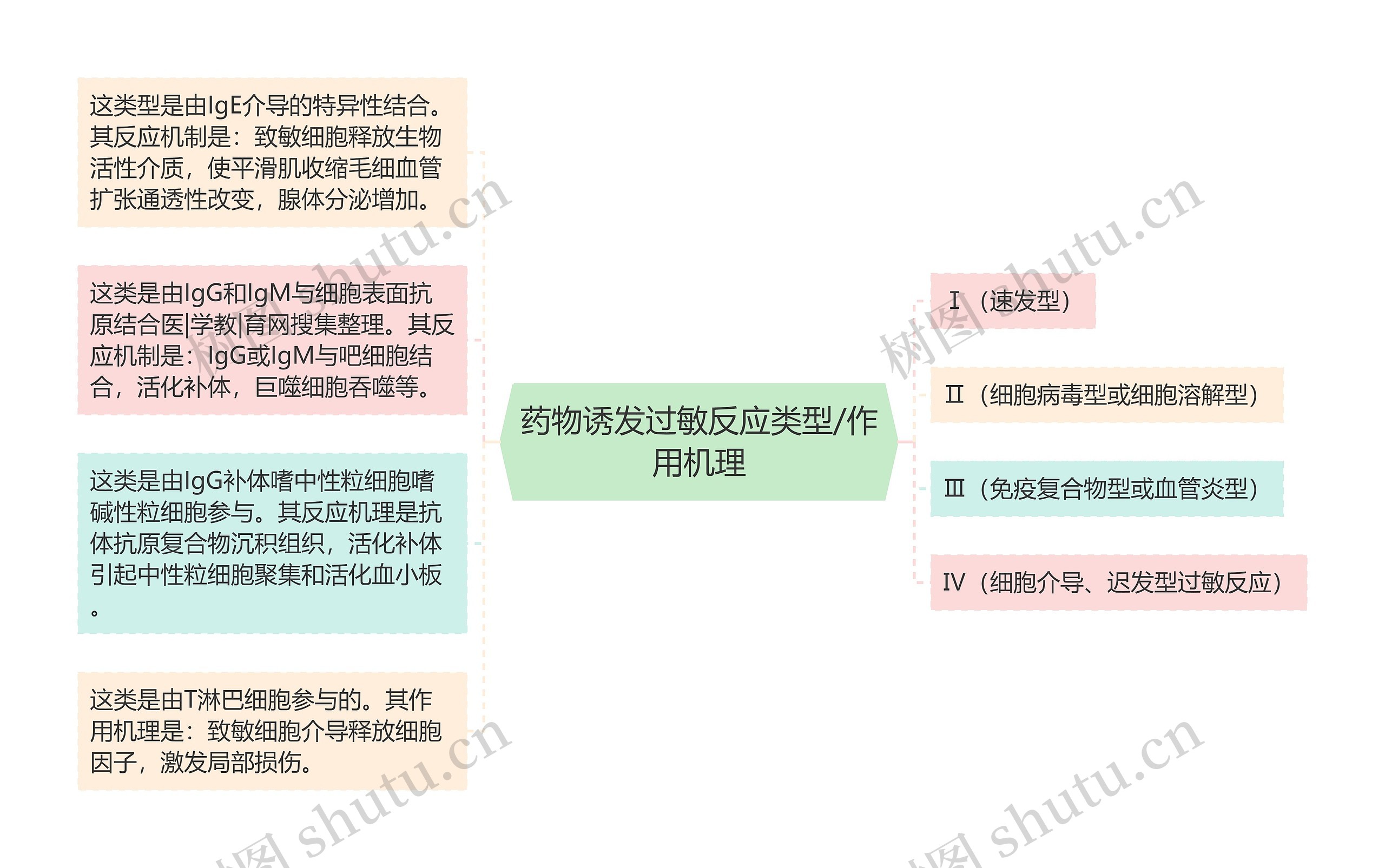 药物诱发过敏反应类型/作用机理思维导图