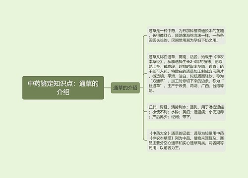 中药鉴定知识点：通草的介绍