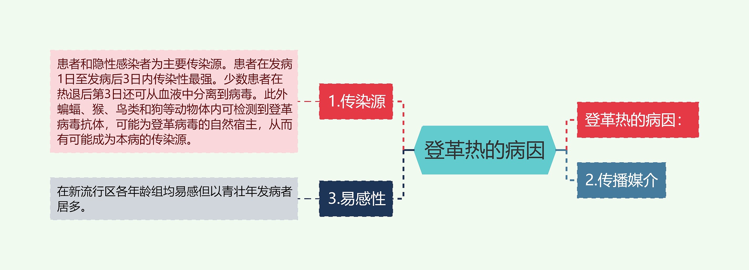 登革热的病因思维导图