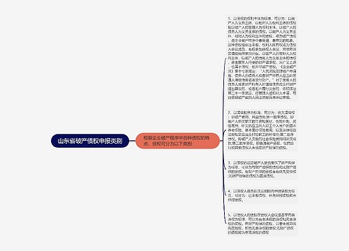 山东省破产债权申报类别