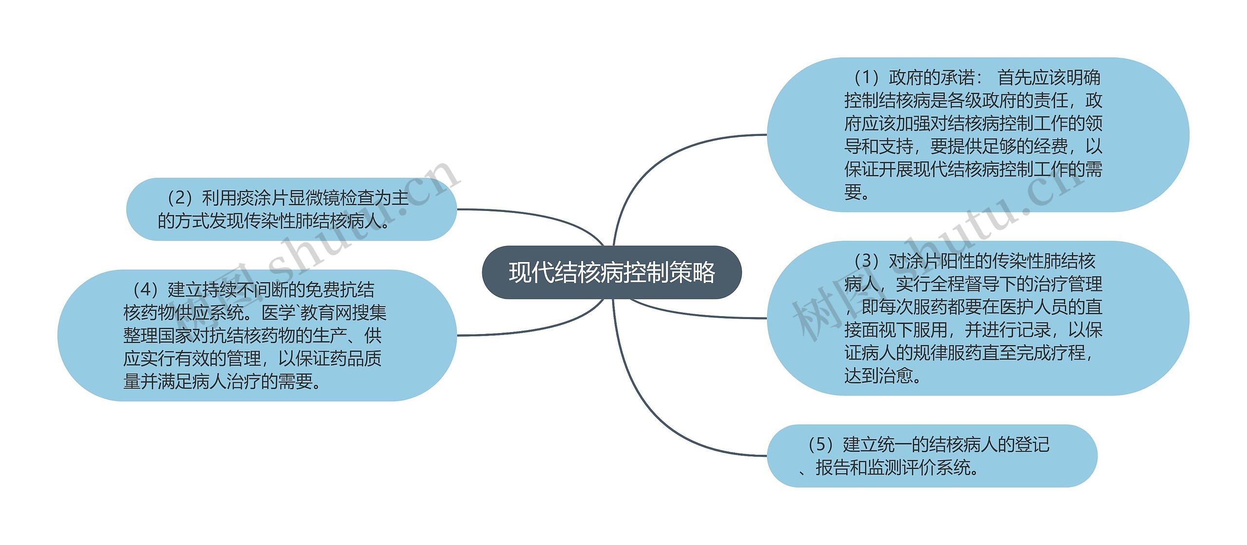 现代结核病控制策略思维导图