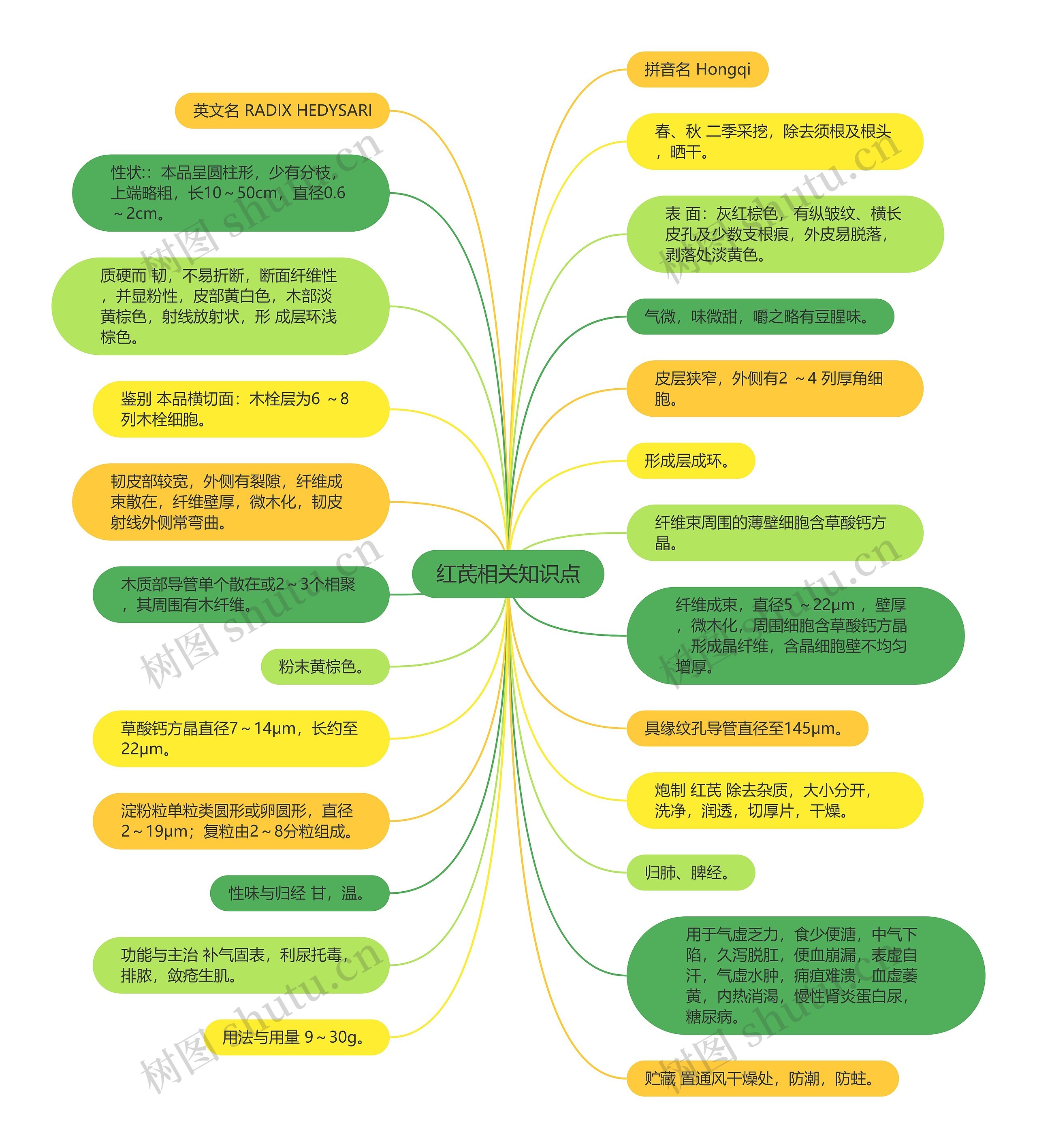 红芪相关知识点 红芪相关知识点