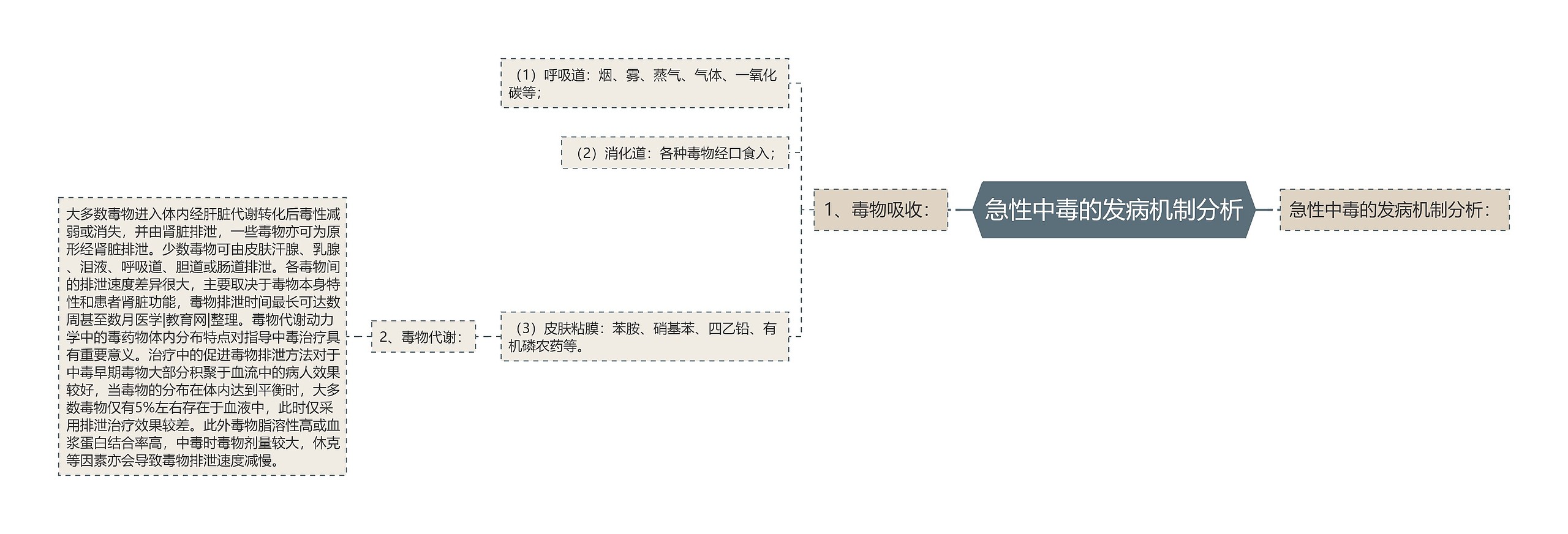 急性中毒的发病机制分析思维导图