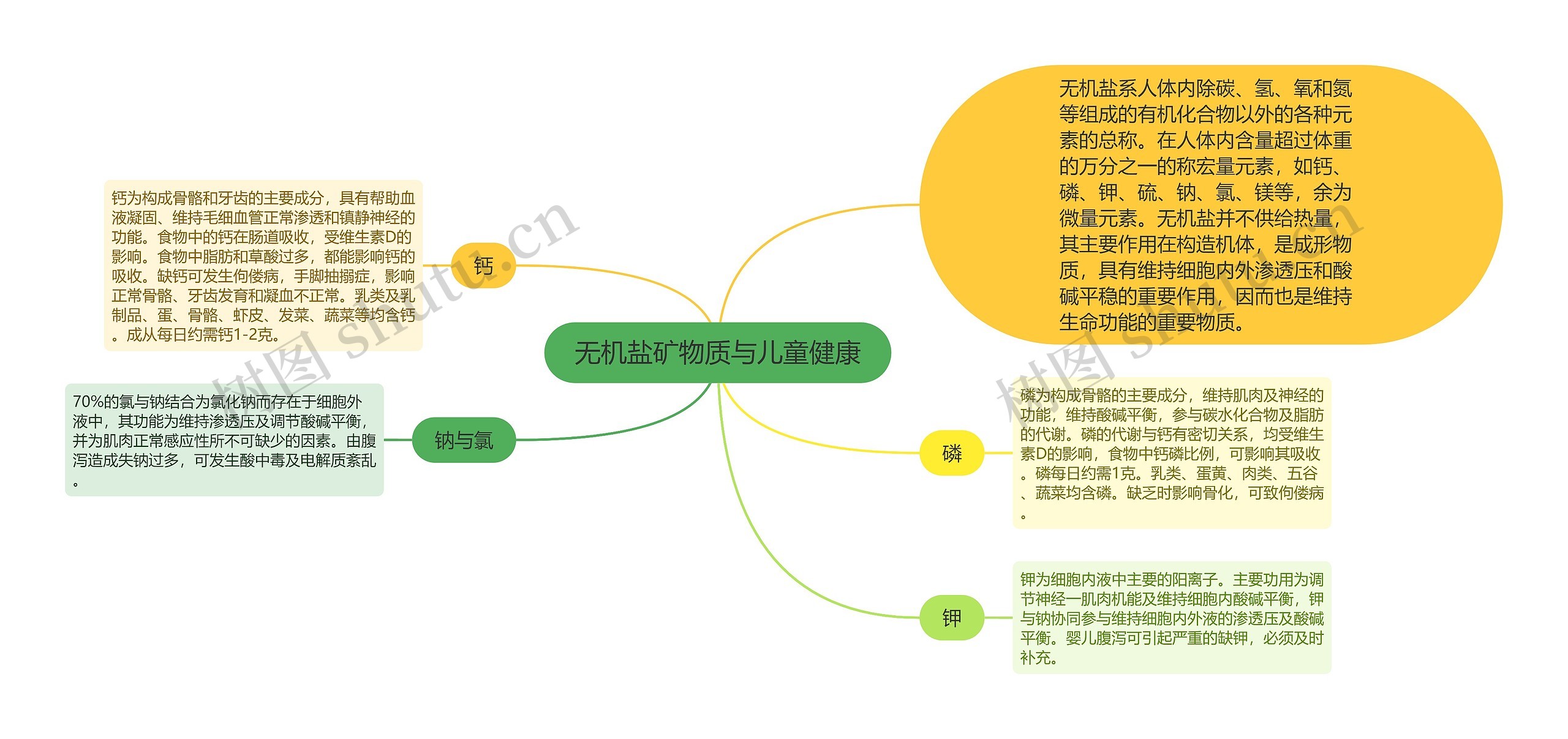 无机盐矿物质与儿童健康