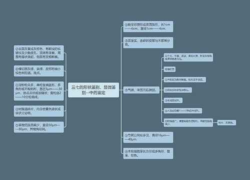 三七的形状鉴别、显微鉴别--中药鉴定