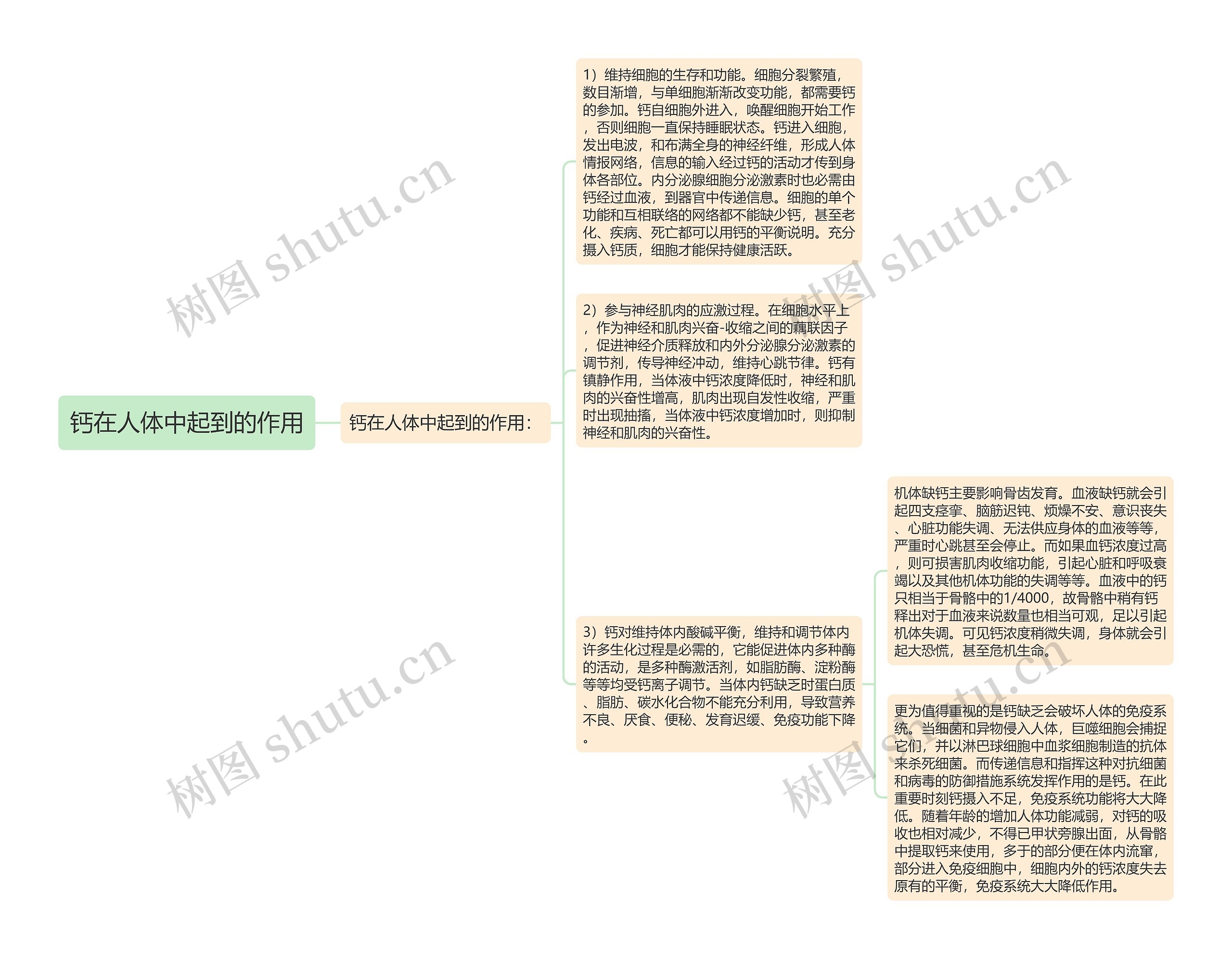 钙在人体中起到的作用思维导图